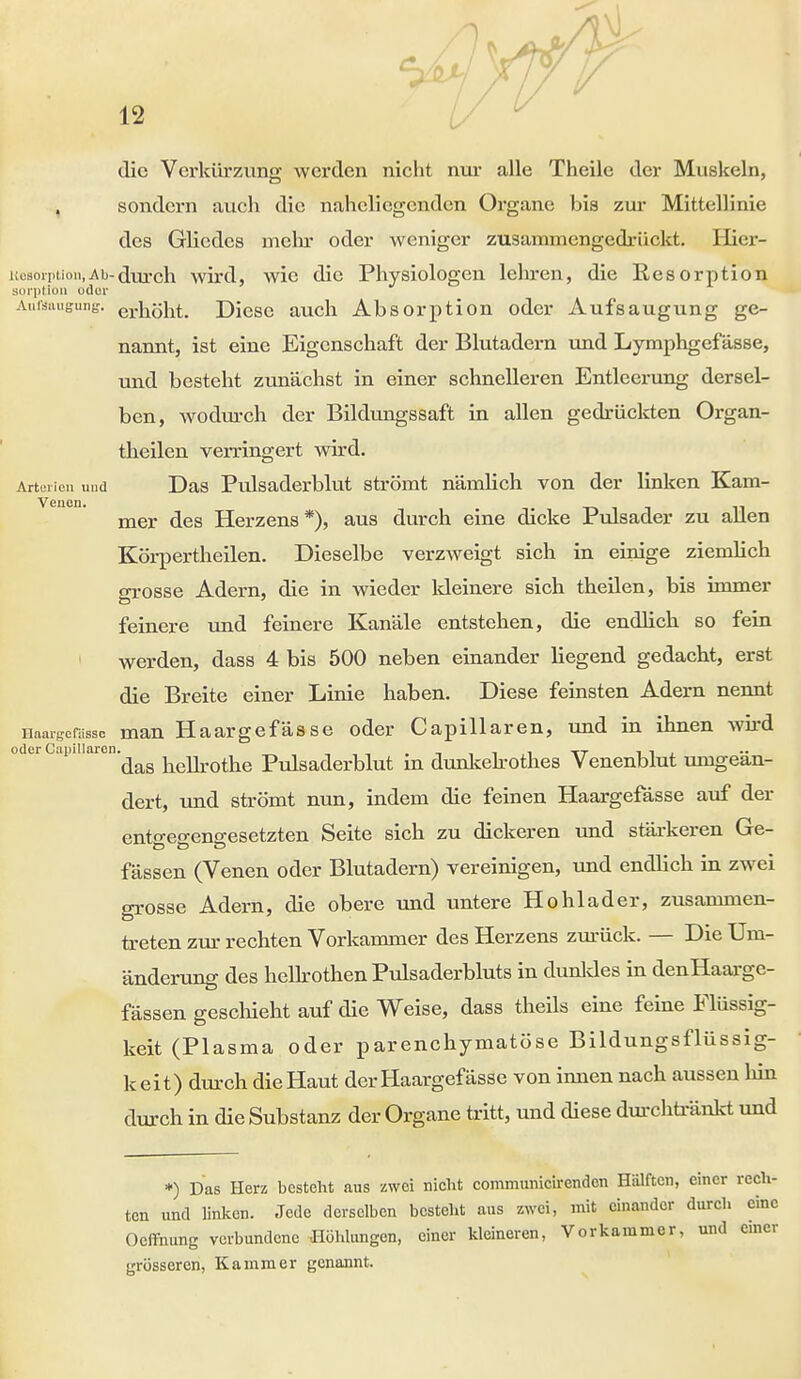 die Verkürzung werden nicht nur alle Theile der Muskeln, sondern auch die naheliegenden Organe bis zur Mittellinie des Gliedes mein* oder weniger zusammengedrückt. Hier- uosorption,Ab-durch wird, wie die Physiologen lehren, die Resorption sorption oder Aufsaugung, efkölrt. Diese auch Absorption oder Aufsaugung ge- nannt, ist eine Eigenschaft der Blutadern und Lymphgefässe, und besteht zunächst in einer schnelleren Entleerung dersel- ben, wodurch der Bildungssaft in allen gedrückten Organ- theilen verringert wird. Artuiien und Das Piüsaderblut strömt nämlich von der linken Kam- Vgucii ■ mer des Herzens*), aus durch eine dicke Pulsader zu allen Körpertheilen. Dieselbe verzweigt sich in einige ziemlich grosse Adern, die in wieder kleinere sich theilen, bis immer feinere und feinere Kanäle entstehen, die endlich so fein werden, dass 4 bis 500 neben einander liegend gedacht, erst die Breite einer Linie haben. Diese feinsten Adern nennt Haargefasse man Haargefässe oder Capillaren, und in ihnen wird odci aPi aren.^ kellrothe Pulsaderblut in dunkelrothes Venenblut umgeän- dert, und strömt nun, indem die feinen Haargefässe auf der ento-eo-eno-esetzten Seite sich zu dickeren und stärkeren Ge- fässen (Venen oder Blutadern) vereinigen, und endlich in zwei grosse Adern, die obere und untere Hohlader, zusammen- treten zur rechten Vorkammer des Herzens zurück. — Die Um- änderung des hellrothen Pulsaderbluts in dunkles in denHaarge- fässen geschieht auf die Weise, dass theüs eine feine Flüssig- keit (Plasma oder parenchymatöse Bildungsflüssig- keit) durch die Haut der Haargefässe von innen nach aussen hin durch in die Substanz der Organe tritt, und diese durchtränkt und *) Das Herz besteht aus zwei nicht communicirenden Hälften, einer rech- ten und linken. Jede derselben besteht aus zwei, mit einander durch eine Oeffnung verbundene Höhlungen, einer kleineren, Vorkammer, und einer grösseren, Kammer genannt.