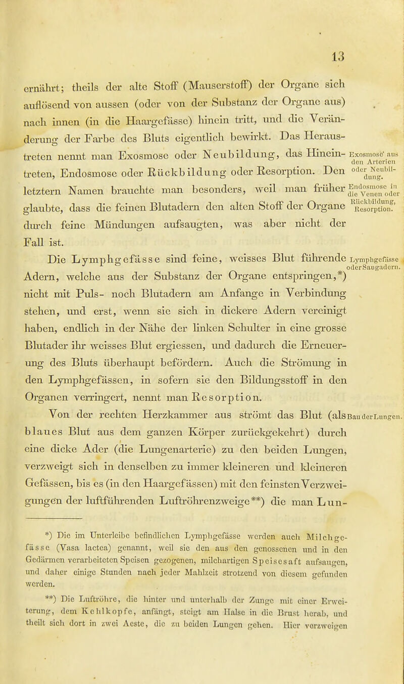 ernährt; theils der alte Stoff (Mauserstoff) der Organe sich auflösend von aussen (oder von der Substanz der Organe aus) nach innen (in die Haargefässe) hinein tritt, und die Verän- derung der Farbe des Bluts eigentlich beiwirkt. Das Heraus- treten nennt man Exosmose oder Neubildung, das Hinein-Exosmosb*ans den Arterien treten, Endosniose oder Rückbildung oder Resorption. Den odo^ubU- letztern Namen brauchte man besonders, weil man früher .der glaubte, dass die feinen Blutadern den alten Stoff der Organe ^MorptCf' durch feine Mündungen aufsaugten, was aber nicht der FaU ist. Die Lymphgefässe sind feine, weisses Blut führende Lymphgefässe odcrSaugadcm. Adern, welche aus der Substanz der Organe entspringen,*) nicht mit Puls- noch Blutadern am Anfange in Verbindung stehen, und erst, wenn sie sich in dickere Adern vereinigt haben, endlich in der Nähe der linken Schulter in eine grosse Blutader ihr weisses Blut ergiessen, und dadurch die Erneuer- ung des Bluts überhaupt befördern. Auch die Strömung in den Lymphgefässen, in sofern sie den Bildungsstoff in den Organen verringert, nemit man R.e sorption. Von der rechten Herzkammer aus strömt das Blut (als Bau der Lungen, blaues Blut aus dem ganzen Körper zurückgekehrt) durch eine dicke Ader (die Lungenarterie) zu den beiden Lungen, verzweigt sich in denselben zu immer kleineren und kleineren Gefässen, bis es (in den Haargef ässen) mit den feinsten Verzwei- gungen der luftführenden Luftröhrenzweige**) die man Lun- *) Die im Untcrleibc befindlichen Lymphgefässe werden auch Milchgc- fässe (Vasa lactea) genannt, weil sie den aus den genossenen und in den Gedärmen verarbeiteten Speisen gezogenen, milchartigen Speisesaft aufsaugen, und daher einige Stunden nach jeder Mahlzeit strotzend von diesem gefunden werden. **) Die Luftröhre, die hinter und unterhalb der Zunge mit einer Erwei- terung, dem Kehlkopfe, anfangt, steigt am Halse in die Brust herab, und theilt sich dort in zwei Aeste, die zu beiden Lungen gehen. Hier verzweigen