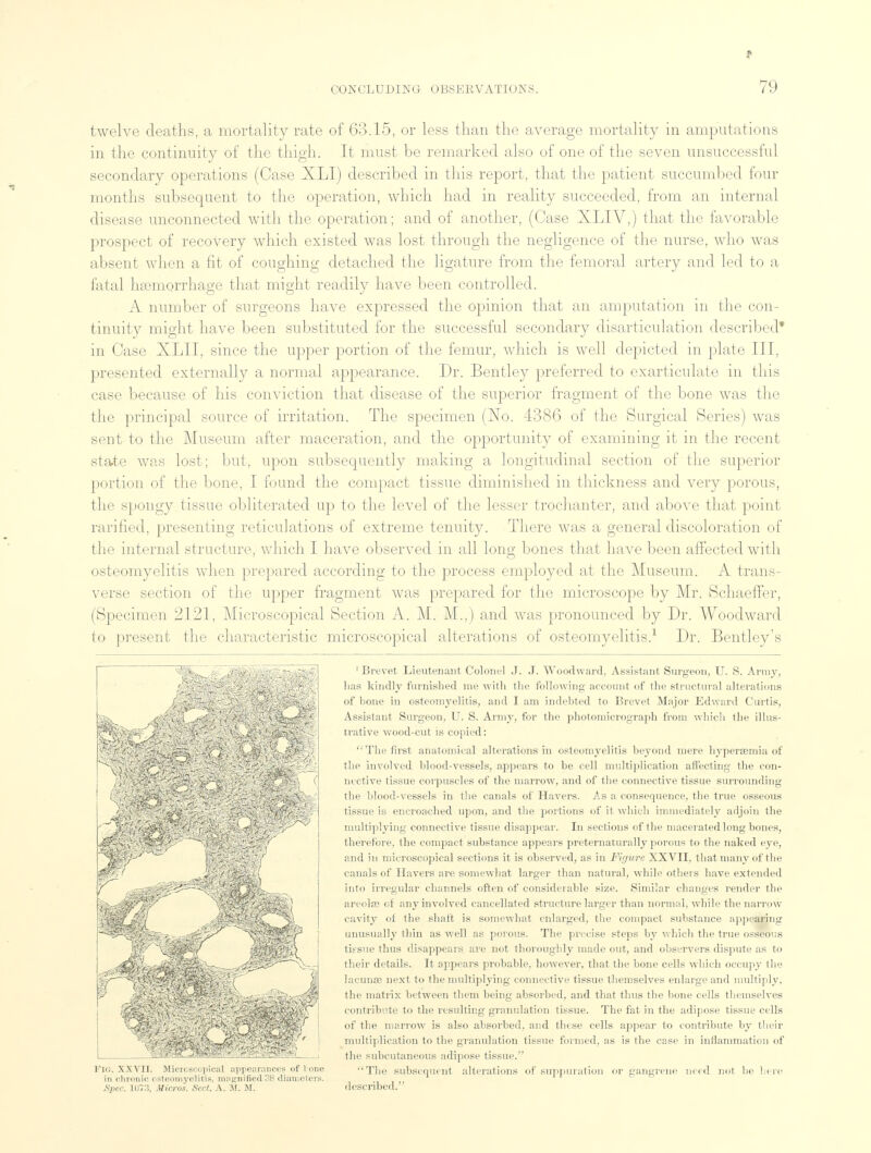 twelve deaths, a mortality rate of 63.15, or less than the average mortality in amputations in the continuity of the thigh. It must be remarked also of one of the seven unsuccessful secondary operations (Case XLI) described in this report, that the patient succumbed four months subsequent to the operation, which had in reality succeeded, from an internal disease unconnected with the operation; and of another, (Case XLIV,) that the favorable prospect of recovery which existed was lost through the negligence of the nurse, who was absent when a fit of coughing detached the ligature from the femoral artery and led to a fatal haemorrhage that might readily have been controlled. A number of surgeons have expressed the opinion that an amputation in the con- tinuity might have been substituted for the successful secondary disarticulation described* in Case XLII, since the upper portion of the femur, which is well depicted in plate III, presented externally a normal appearance. Dr. Bentley preferred to exarticulate in this case because of his conviction that disease of the superior fragment of the bone was the the principal source of irritation. The specimen (No. 4386 of the Surgical Series) was sent to the Museum after maceration, and the opportunity of examining it in the recent state was lost; but, upon subsequently making a longitudinal section of the superior portion of the bone, I found the compact tissue diminished in thickness and very porous, the spongy tissue obliterated up to the level of the lesser trochanter, and above that point rarified, presenting reticulations of extreme tenuity. There was a general discoloration of the internal structure, which I have observed in all long bones that have been affected with osteomyelitis when prepared according to the process employed at the Museum. A trans- verse section of the upper fragment was prepared for the microscope by Mr. Schaeffer, (Specimen 2121, Microscopical Section A. M. M.,) and was pronounced by Dr. Woodward to present the characteristic microscopical alterations of osteomyelitis.1 Dr. Bentley's 1 Brevet Lieutenant Colonel J. J. Woodward, Assistant Surgeon, U. S. Army, lias kindly furnished me with the following account of the structural alterations of hone in osteomyelitis, and I am indebted to Brevet Major Edward Curtis, Assistant Surgeon, U. S. Army, for the photomicrograph from which the illus- trative wood-cut is copied: The first anatomical alterations in osteomyelitis beyond mere hyperemia of the involved blood-vessels, appears to be cell multiplication affecting the con- nective tissue corpuscles of the marrow, and of the connective tissue surrounding the blood-vessels in the canals of Havers. As a consequence, the true osseous tissue is encroached upon, and the portions of it which immediately adjoin the multiplying connective tissue disappear. In sections of the macerated long bones, therefore, the compact substance appeal's preternaturally porous to the naked eye, and in microscopical sections it is observed, as in Figure XXVII, that many Of the canals of Havers are somewhat larger than natural, while others have extended into irregular channels often of considerable size. Similar changes render the areola? of any involved cancellated structure larger than normal, while the narrow cavity of the shaft is somewhat enlarged, the compact substance appearing unusually thin as well as porous. The precise steps by which the true osseous tissue thus disappears are not thoroughly made out, and observers dispute as to their details. It appears probable, however, that the bone cells which occupy the lacuna3 next to the multiplying connective tissue themselves enlarge and multiply, the matrix between them being absorbed, and that thus the bone cells themselves contribute to the resulting granulation tissue. The fat in the adipose tissue cells of the marrow is also absorbed, and these cells appear to contribute by their multiplication to the granulation tissue funned, as is the case in inflammation of the subcutaneous adipose tissue. The subsequent alterations of suppuration or gangrene nidi not be here described. Fig. XXVII. Microscopical appearances of 1 one in chronic osteomyelitis, magnified38 diameters. Spec. 107:5, Micros. Sect. A. M. M.
