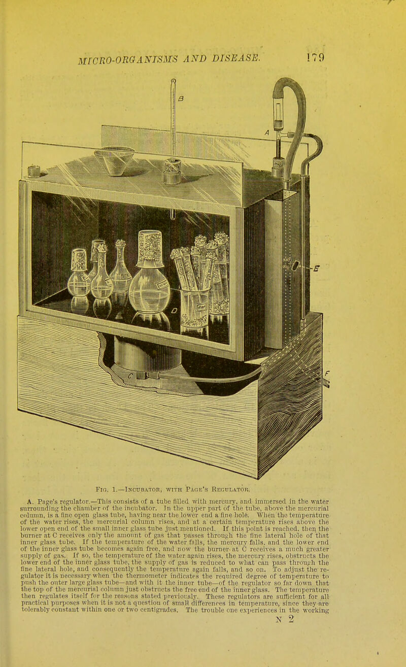 Fir,. 1.—iNCUBATOn, WITH PACE'S REGULATOR. A. Page's regulator.—This consists of a tube filled with mercury, and immersed in the water surrounding the chamber of the incubator. In the upper part of the tube, above the mercurial column, is a fine open glass tube, having near the lower end a fine hole. When the temperature of the water rises, the mercurial column rises, and at a certain temperature rises above the lower open end of the small inner glass tube just mentioned. If this point is reached, then the burner at C receives only the amount of gas that passes through the fine lateral hole of that inner glass tube. If the temperature of the water falls, the mercury falls, and the lower end of the inner glass tube becomes again free, and now the burner at C receives a much greater supply of gas. If so, the temperature of the water again rises, the mercury rises, obstructs the lower end of the inner glass tube, the supply of gas is reduced to what can pass through the fine lateral hole, and consequently the temperature again falls, and so on. To adjust the re- gulator it is necessary when the thermometer indicates the required degree of temperature to push the outer large glass tube—and with it the inner tube—of the regulator so far down that the top of the mercurial column just obstructs the free end of the inner glass. The temperature then regulates itself for the reasons stated previously. These regulators are sufficient for all practical purposes when it is not a question or small differences in temperature, since they arc tolerably constant within one or two centigrades. The trouble one experiences in the working N 2