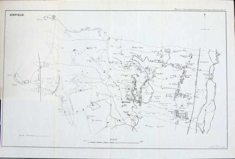 Reports ol AipnuiteiuluniliKin-rlmx of the General li,:ii,t ,>/ Health Tar' <y 7 SCALE I v iMUe Wfi, P.91.
