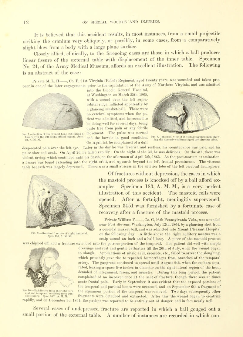 Lai FIG. 7.—Section of the frontal bone exhibiting a flss\ire over the left supra-orbital region. Spec. 24, A. M. M. Fig. 8.—1 nternal view of the foregoing specimen, show- ing the extensive splintering of the vitreous table. It is believed that this accident results, in most instances, from a small projectile striking the cranium very obliquely, or possibly, in some cases, from a comparatively slight blow from a body with a large plane surface. Closely allied, clinically, to the foregoing cases are those in which a ball produces linear fissure of the external table with displacement of the inner table. Specimen No. 24, of the Army Medical Museum, affords an excellent illustration. The following is an abstract of the case: Private M. L. H , Co. B, 21st Virginia (Rebel) Regiment, aged twenty years, was wounded and taken pris- oner in one of the later engagements prior to the capitulation of the Army of Northern Virginia, and was admitted into the Lincoln General Hospital, at Washington, on March 25th, 1865, with a wound over the left supra- orbital ridge, inflicted apparently by a glancing musket-ball. There were no cerebral symptoms when the pa- tient was admitted, and he seemed to be doing well for several days, being quite free from pain or any febrile movement. The pulse was normal and the bowels in good condition. On April 1st, he complained of a dull deep-seated pain over the left eye. Later in the day he was feverish and restless, his countenance was pale, and his pulse slow and weak. On April 2d, he failed rapidly. On the night of the 3d, he was delirious. On the 4th, there was violent raving, which continued until his death, on the afternoon of April 5th, 1865. At the post-mortem examination, a fissure was found extending into the right orbit, and upwards beyond the left frontal prominence. The vitreous table beneath was largely depressed. There was a small abscess in the anterior lobe of the left cerebral hemisphere. Of fractures without depression, the cases in which the mastoid process is knocked off by a ball afford ex- amples. Specimen 183, A. M. M., is a very perfect illustration of this accident. The mastoid cells were opened. After a fortnight, meningitis supervened. Specimen 3451 was furnished by a fortunate case of recovery after a fracture of the mastoid process. Private William F , Co. G, 98th Pennsylvania Vols., was wounded near Fort Stevens, Washington, July 12th, 1864, by a glancing shot from a conoidal musket-ball, and was admitted into Mount Pleasant Hospital on the following day. A little above the right auditory meatus was a scalp wound an inch and a half long. A piece of the mastoid process was chipped off, and a fracture extended into the petrous portion of the temporal. The patient did well with simple dressings and rest and gentle cathartics till the 20th of July, when the wound began to slough. Applications of nitric acid, creosote, etc., failed to arrest the sloughing, which presently gave rise to repeated haemorrhages from branches of the temporal artery. The gangrene continued to spread until August 9th, when the eschars sepa- rated, leaving a space five inches in diameter on the right lateral region of the head, denuded of integument, fascia, and muscles. During this long period, the patient complained of no inconvenience at the seat of fracture, though there was at times acute frontal pain. Early in September, it was evident that the exposed portions of the temporal and parietal bones were necrosed, and on September 6th a fragment of the squamous portion of the temporal was removed. Two days subsequently other fragments were detached and extracted. After this the wound began to cicatrize rapidly, and on December 3d, 1864, the patient was reported to be entirely out of danger, and in fact nearly well. Several cases of undepressed fracture are reported in which a ball gouged out a small portion of the external table. A number of instances are recorded in which con- Fig. 9.- iiun-li.it fracture of right temporal. Spec. 183, A. M. M. Fig. 10.—F.xfoliation from the right pari etal anil temporal, resulting from gun- shot injury. Spec. 3451, A. M. M.