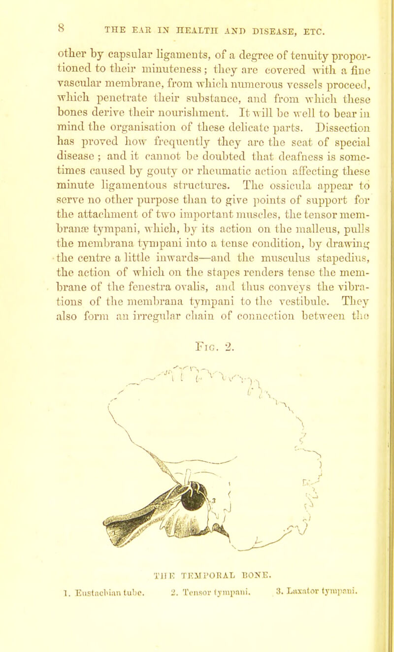 other by capsular ligaments, of a degree of tenuity propor- tioned to their minuteness; they are covered with a hue vascular membrane, from which numerous vessels proceed, which penetrate their substance, and from which these bones derive their nourishment. It will be well to bear in mind the organisation of these delicate parts. Dissection has proved how frequently they arc the seat of special disease ; and it cannot be doubted that deafness is some- times caused by gouty or rheumatic action affecting these minute ligamentous structures. The ossicula appear to serve no other purpose than to give points of support for the attachment of two important muscles, the tensor mem- branse tympani, which, by its action on the malleus, pulls the membrana tympani into a teuse condition, by drawing the centre a little inwards—and the musculus stapedius, the action of which on the stapes renders tense the mem- brane of the fenestra ovalis, and thus conveys the vibra- tions of the membrana tympani to the vestibule. They also form an irregular chain of connection between the Fig. 2. Tl! E TEMPORAL BONE. 1. Eustachian tube. 2. Tensor tympani. 3. Laxator tympani.