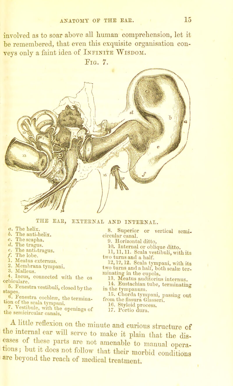 involved as to soar above all human comprehension, let it be remembered, that even this exquisite organisation con- veys only a faint idea of Infinite Wisdom. Fig. 7. THE EAE, EXTEKNAL AND INTERNAL. a. b. c. d. e. f. 1. The helix. The anti-helix. The scapha. The tragus. The anti-tragug. The lobe. Meatus extemus. 2. Mernbrana tympani. 3. Malleus. ■t. Incus, connected with the os orbiculare. 5. Fenestra vestibuli, closed by the stapes. 8. Fenestra cochlerc, the termina- tion of the scala tympani. 7. Vestibule, with the openings of the semicircular canals. 8. Superior or vertical semi, circular canal. 9. Horizontal ditto. 10. Internal or obbque ditto. 11,11,11. Scala vestibuli, with its two turns and a half. 12, 12,12. Scala tympani, with its two turns and a hall', both scala) ter- minating in the cupola. 13. Meatus auditorius interims, llj. Eustachian tube, terminating in the tympanum. 15. Chorda tympani, passing out from the flasura Glasseri. 16. Styloid process. 17. Portio dura. A little reflexion on the minute and curious structure of the internal car will serve to make it plain that the dis- eases of these parts are not amenable to manual opera- tions ; but it does not follow that their morbid conditions are beyond the reach of medical treatment