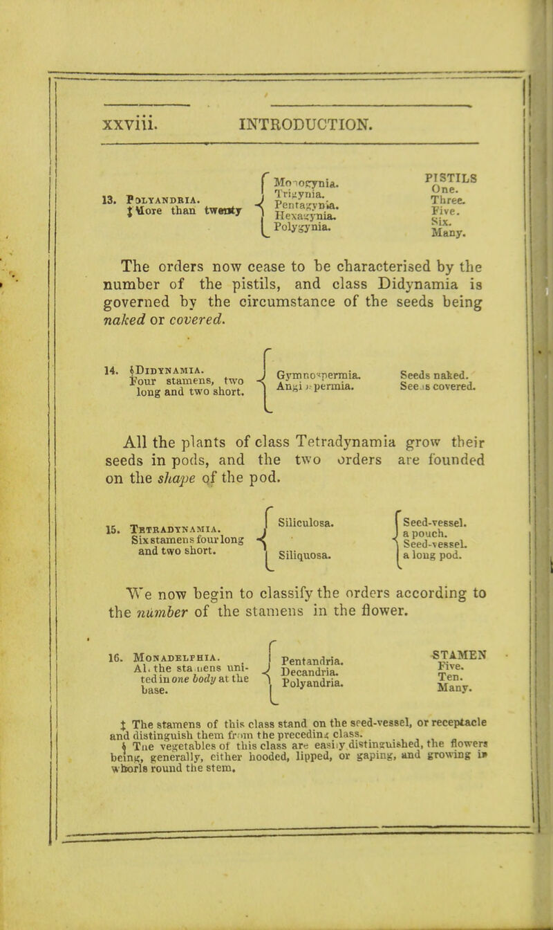 r Mmocrnia. P/>!TILS i One. 13. POLYANDRIA. J Thfee- JVIore than twenty j ««■ Polys Many. The orders now cease to be characterised by the number of the pistils, and class Didynamia is governed by the circumstance of the seeds being naked or covered. long and two short. 1 Anni j. permia. bees co\erea. All the plants of class Tetradynamia grow their seeds in pods, and the two orders are founded on the shape of the pod. ,. _ Siliculosa. I Seed-vessel. 15. Tbtradtnamia. I Janouch Six stamens four long < i Seed vessel and two short. Siliquosa. |^a long pod.' We now begin to classify the orders according to the number of the stamens in the flower. 16. MoNADELFHiA. . f Petltandria. S^vP Al. the stamens urn- J Decandria> Jne. tedmonefodyatthe ^Polyandria. gn^ X The stamens of this class stand on the seed-vessel, or receptacle and distinguish them from the preceding class. \ Tne vegetables of this class ar<s easiiy distinsuished, the flowers being, generally, either hooded, lipped, or gaping, and growing if whorls round the stem.