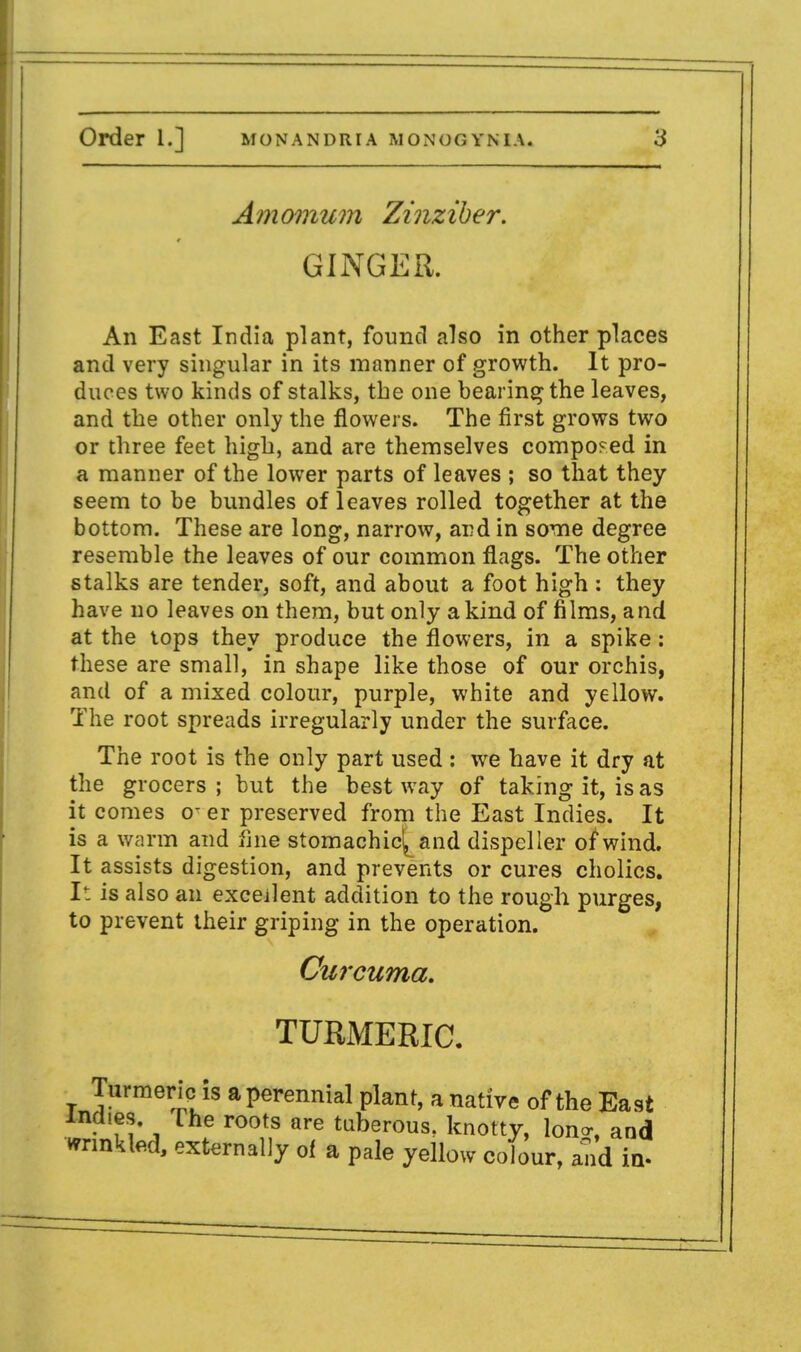 Am omum Zinziber. GINGER. An East India plant, found also in other places and very singular in its manner of growth. It pro- duces two kinds of stalks, the one bearing the leaves, and the other only the flowers. The first grows two or three feet high, and are themselves composed in a manner of the lower parts of leaves ; so that they seem to be bundles of leaves rolled together at the bottom. These are long, narrow, and in some degree resemble the leaves of our common flags. The other stalks are tender, soft, and about a foot high : they have no leaves on them, but only a kind of films, and at the tops they produce the flowers, in a spike: these are small, in shape like those of our orchis, and of a mixed colour, purple, white and yellow. The root spreads irregularly under the surface. The root is the only part used: we have it dry at the grocers; but the best way of taking it, is as it comes o- er preserved from the East Indies. It is a warm and fine stomachic^ and dispeller of wind. It assists digestion, and prevents or cures cholics. It is also an excellent addition to the rough purges, to prevent their griping in the operation. Curcuma, TURMERIC. t S^St4^ a Perennial Plant, a native of the East Indies. The roots are tuberous, knotty, lon<r, and wrinkled, externally of a pale yellow colour, and in-