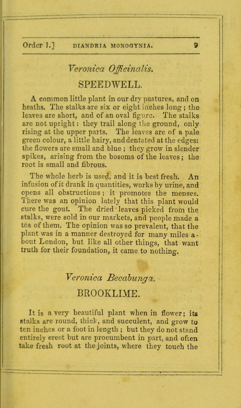 Veronica Officinalis, SPEEDWELL. A common little plant in our dry pastures, and on heaths. The stalks are six or eight inches long ; the leaves are short, and of an oval figure. The stalks are not upright: they trail along the ground, only rising at the upper parts. The leaves are of a pale green colour, a little hairy, anddentated at the edges: the flowers are small and blue ; they grow in slender spikes, arising from the bosoms of the leaves; the root is small and fibrous. The whole herb is used, and it is best fresh. An infusion of it drank in quantities, works by urine, and opens all obstructions ; it promotes the menses. There was an opinion lately that this plant would cure the gout. The dried leaves picked from the stalks, were sold in our markets, and people made a tea of them. The opinion was so prevalent, that the plant was in a manner destroyed for many miles a- bout London, but like all other things, that want truth for their foundation, it came to nothing. Veronica Becabunga. BROOKLIME. It is a very beautiful plant when in flower; its stalks are round, thielc, and succulent, and grow to ten inches or a foot in length ; but they do not stand entirely erect but are procumbent in part, and often take fresh root at the joints, where they touch the