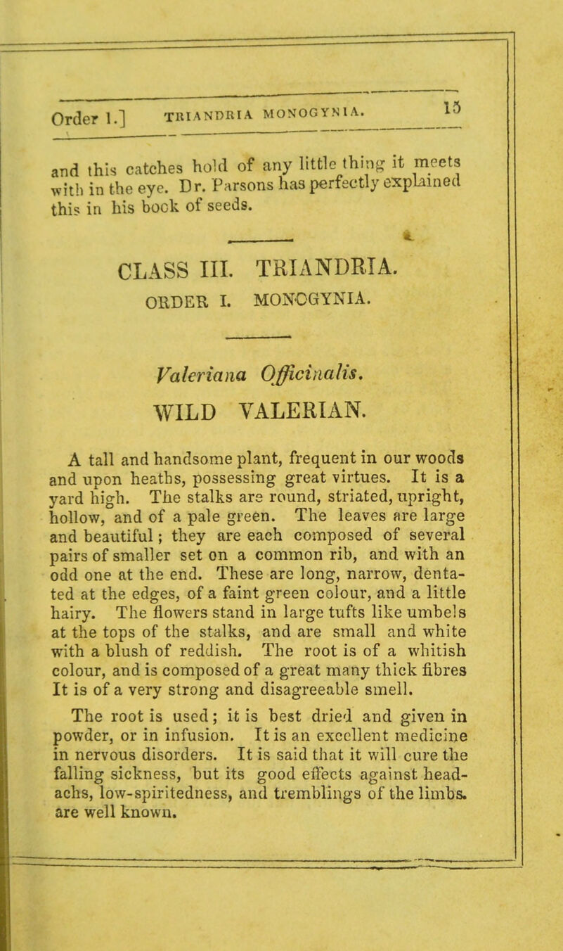 and this catches hold of any little thing it meets with in the eye. Dr. Parsons has perfectly explained this in his book of seeds. . - 4. CLASS III. TRIANDRIA. ORDER I. MONOGYNIA. Valeriana Officinalis. WILD VALERIAN. A tall and handsome plant, frequent in our woods and upon heaths, possessing great virtues. It is a yard high. The stalks are round, striated, upright, hollow, and of a pale green. The leaves are large and beautiful; they are each composed of several pairs of smaller set on a common rib, and with an odd one at the end. These are long, narrow, denta- ted at the edges, of a faint green colour, and a little hairy. The flowers stand in large tufts like umbels at the tops of the stalks, and are small and white with a blush of reddish. The root is of a whitish colour, and is composed of a great many thick fibres It is of a very strong and disagreeable smell. The root is used; it is best dried and given in powder, or in infusion. It is an excellent medicine in nervous disorders. It is said that it will cure the falling sickness, but its good effects against head- achs, low-spiritedness, and tremblings of the limbs, are well known.