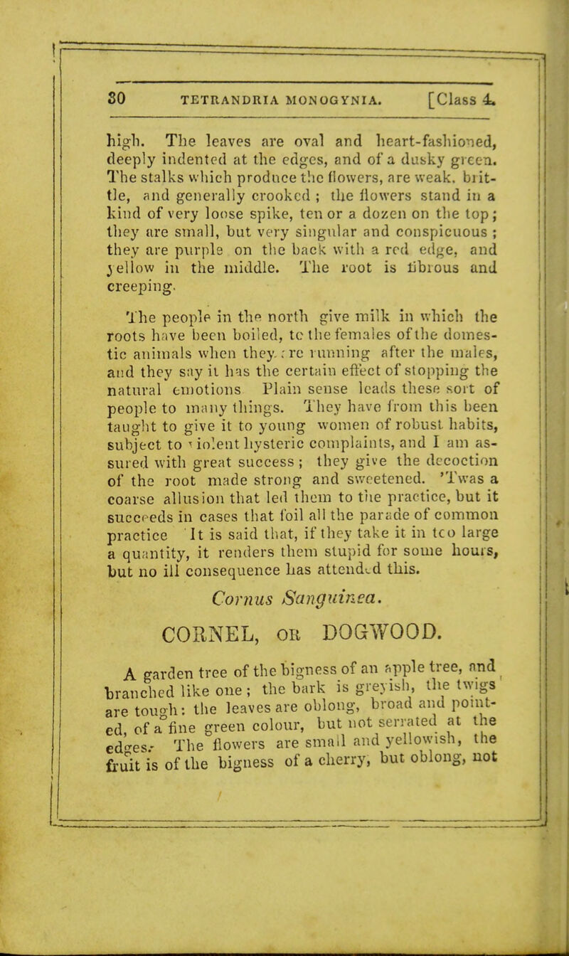 high. The leaves are oval and heart-fashioned, deeply indented at the edges, and of a dusky green. The stalks which prodnce the (lowers, are weak, brit- tle, and generally crooked ; the ilowers stand in a kind of very loose spike, ten or a dozen on the top; they are small, but very singular and conspicuous ; they are purple on the back with a red edge, and yellow in the middle. The root is libious and creeping. The people in tho north give milk in which the roots have been boiled, to the females of the domes- tic animals when they: re running after the males, and they say it has the certain effect of stopping the natural emotions Plain sense leads these sort of people to many things. They have from this been taught to give it to young women of robust habits, subject to violent hysteric complaints, and I am as- sured with great success ; they give the decoction of the root made strong and sweetened. 'Twas a coarse allusion that led them to the practice, but it succeeds in cases that foil all the parade of common practice It is said that, if they take it in tco large a quantity, it renders them stupid for some hours, but no ill consequence has attended this. Cornus Sanguined. CORNEL, on DOGWOOD. A garden tree of the bigness of an apple tree, and branched like one; the bark is greyish, the twigs are tough: the leaves are oblong, broad and point- ed ofaDfine green colour, but not serrated at the ed^es- The ilowers are smail and yellowish, the fruit is of the bigness of a cherry, but oblong, not