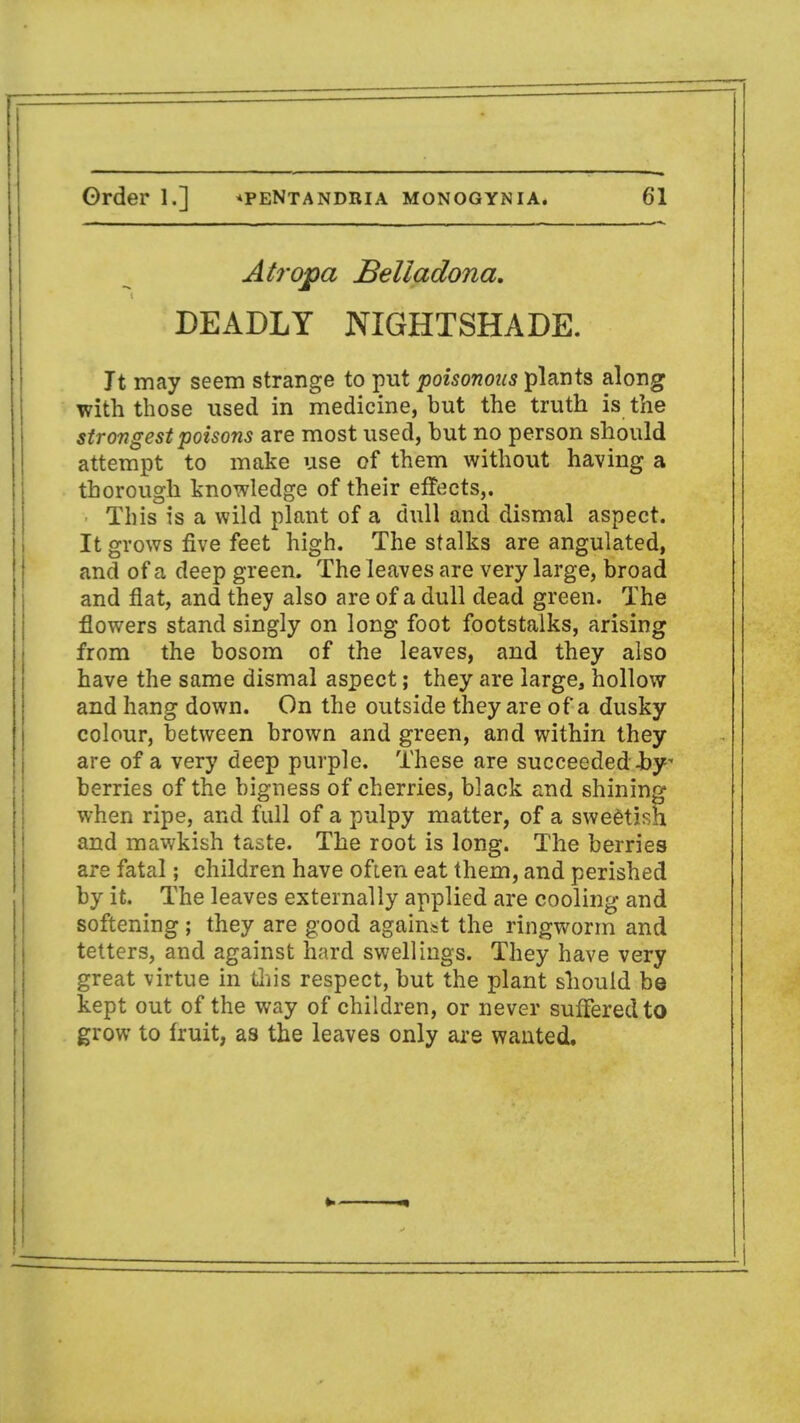 Atropa Belladona. DEADLY NIGHTSHADE. It may seem strange to put poisonous plants along with those used in medicine, but the truth is the strongest poisons are most used, but no person should attempt to make use of them without having a thorough knowledge of their effects,. This is a wild plant of a dull and dismal aspect. It grows five feet high. The stalks are angulated, and of a deep green. The leaves are very large, broad and flat, and they also are of a dull dead green. The flowers stand singly on long foot footstalks, arising from the bosom of the leaves, and they also have the same dismal aspect; they are large, hollow and hang down. On the outside they are of a dusky colour, between brown and green, and within they are of a very deep purple. These are succeeded-by berries of the bigness of cherries, black and shining when ripe, and full of a pulpy matter, of a sweetish and mawkish taste. The root is long. The berries are fatal; children have often eat them, and perished by it. The leaves externally applied are cooling and softening ; they are good against the ringworm and tetters, and against hard swellings. They have very great virtue in this respect, but the plant should be kept out of the way of children, or never suffered to grow to fruit, as the leaves only are wanted.