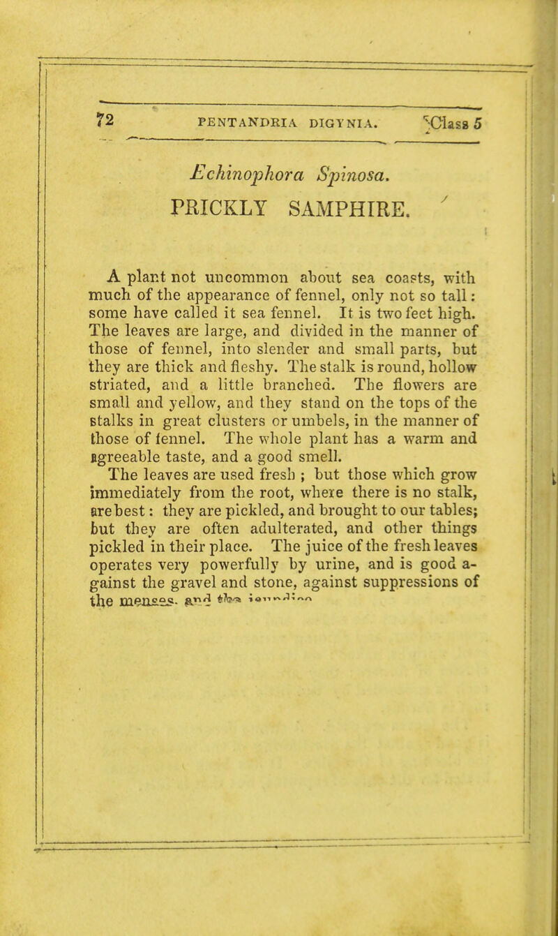 Echinojphora Spinosa. PRICKLY SAMPHIRE. A plant not uncommon about sea coasts, with much of the appearance of fennel, only not so tall: some have cal]ed it sea fennel. It is two feet high. The leaves are large, and divided in the manner of those of fennel, into slender and small parts, but they are thick and fleshy. The stalk is round, hollow striated, and a little branched. The flowers are small and yellow, and they stand on the tops of the stalks in great clusters or umbels, in the manner of those of fennel. The whole plant has a warm and Agreeable taste, and a good smell. The leaves are used fresh ; but those which grow immediately from the root, where there is no stalk, are best: they are pickled, and brought to our tables; but they are often adulterated, and other things pickled in their place. The juice of the fresh leaves operates very powerfully by urine, and is good a- gainst the gravel and stone, against suppressions of the D3.erxs.sj?- rt^ j***^*^