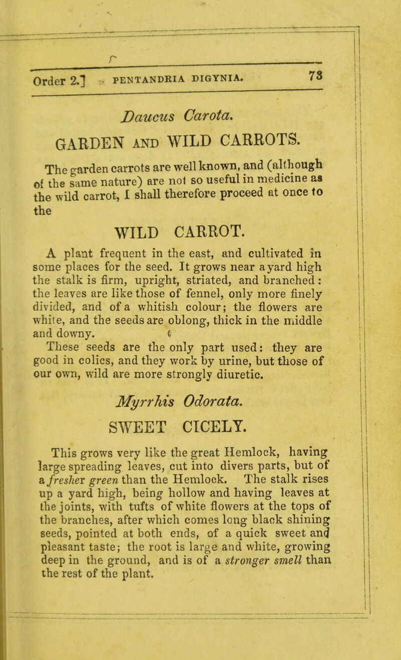 Daucus Carota. GARDEN and WILD CARROTS. The garden carrots are well known, and (although of the same nature) are not so useful in medicine as the wild carrot, I shall therefore proceed at once to the WILD CARROT. A plant frequent in the east, and cultivated in some places for the seed. It grows near a yard high the stalk is firm, upright, striated, and branched: the leaves are like those of fennel, only more finely divided, and of a whitish colour; the flowers are white, and the seeds are oblong, thick in the middle and downy. <■ These seeds are the only part used: they are good in colics, and they work by urine, but those of our own, wild are more strongly diuretic. Myrrhis Odorata. SWEET CICELY. This grows very like the great Hemlock, having large spreading leaves, cut into divers parts, but of a fresher green than the Hemlock. The stalk rises up a yard high, being hollow and having leaves at the joints, with tufts of white flowers at the tops of the branches, after which comes long black shining seeds, pointed at both ends, of a quick sweet and pleasant taste; the root is large and white, growing deep in the ground, and is of a stronger smell than the rest of the plant.