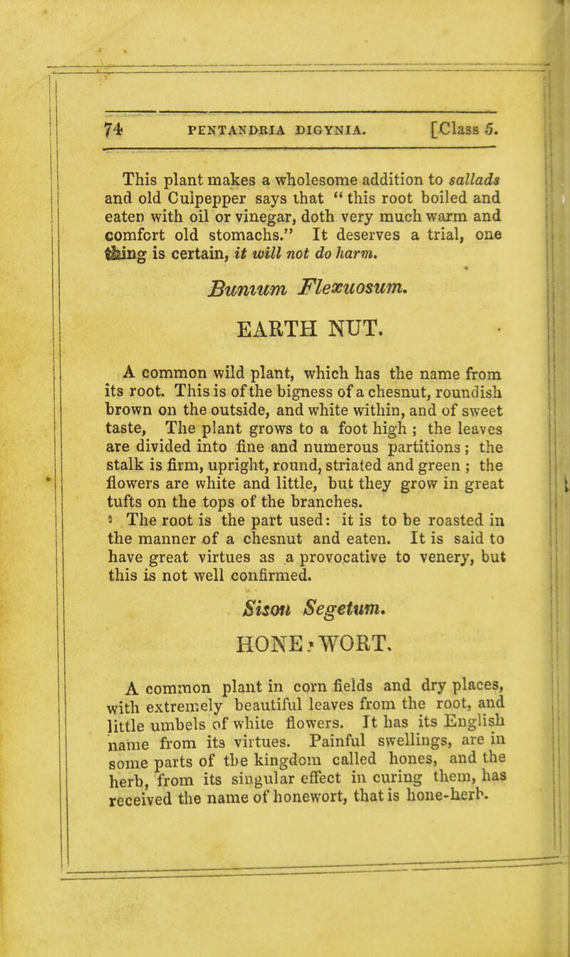 This plant makes a wholesome addition to sallads and old Culpepper says that  this root boiled and eaten with oil or vinegar, doth very much warm and comfort old stomachs. It deserves a trial, one tfeing is certain, it will not do harm, Bunium Flexuosum. EARTH NUT. A common wild plant, which has the name from its root. This is of the bigness of a chesnut, roundish brown on the outside, and white within, and of sweet taste, The plant grows to a foot high ; the leaves are divided into fine and numerous partitions ; the stalk is firm, upright, round, striated and green ; the flowers are white and little, but they grow in great tufts on the tops of the branches. * The root is the part used: it is to be roasted in the manner of a chesnut and eaten. It is said to have great virtues as a provocative to venery, but this is not well confirmed. Sism Segetum* HONE? WORT, A common plant in corn fields and dry places, with extremely beautiful leaves from the root, and little umbels of white flowers. It has its English name from its virtues. Painful swellings, are in some parts of the kingdom called hones, and the herb, from its singular effect in curing them, has received the name of honewort, that is hone-herb.