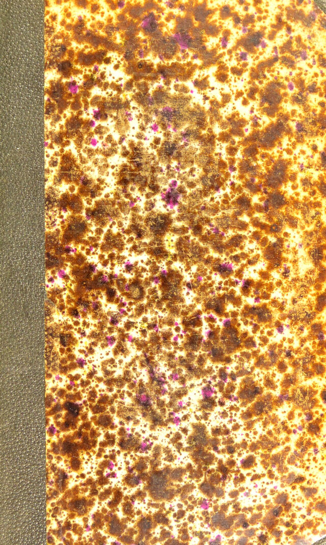 digitised image 1