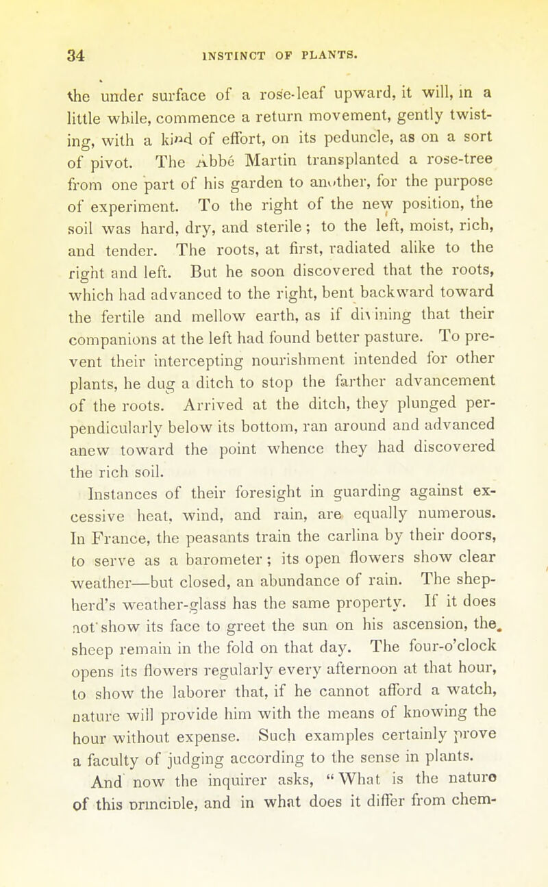 under surface of a rose-leaf upward, it will, in a little while, commence a return movement, gently twist- ing, with a ki»d of effort, on its peduncle, as on a sort of pivot. The Abbe Martin transplanted a rose-tree from one part of his garden to another, for the purpose of experiment. To the right of the new position, the soil was hard, dry, and sterile; to the left, moist, rich, and tender. The roots, at first, radiated alike to the right and left. But he soon discovered that the roots, which had advanced to the right, bent backward toward the fertile and mellow earth, as if di^ ining that their companions at the left had found better pasture. To pre- vent their intercepting nourishment intended for other plants, he dug a ditch to stop the farther advancement of the roots. Arrived at the ditch, they plunged per- pendicularly below its bottom, ran around and advanced anew toward the point whence they had discovered the rich soil. Instances of their foresight in guarding against ex- cessive heat, wind, and rain, are equally numerous. In France, the peasants train the carlina by their doors, to serve as a barometer; its open flowers show clear weather—but closed, an abundance of rain. The shep- herd's weather-glass has the same property. If it does not show its face to greet the sun on his ascension, the. sheep remain in the fold on that day. The four-o'clock opens its flowers regularly every afternoon at that hour, to show the laborer that, if he cannot afford a watch, nature will provide him with the means of knowing the hour without expense. Such examples certainly prove a faculty of judging according to the sense in plants. And now the inquirer asks, What is the nature of this nnnciDle, and in what does it differ from chem-