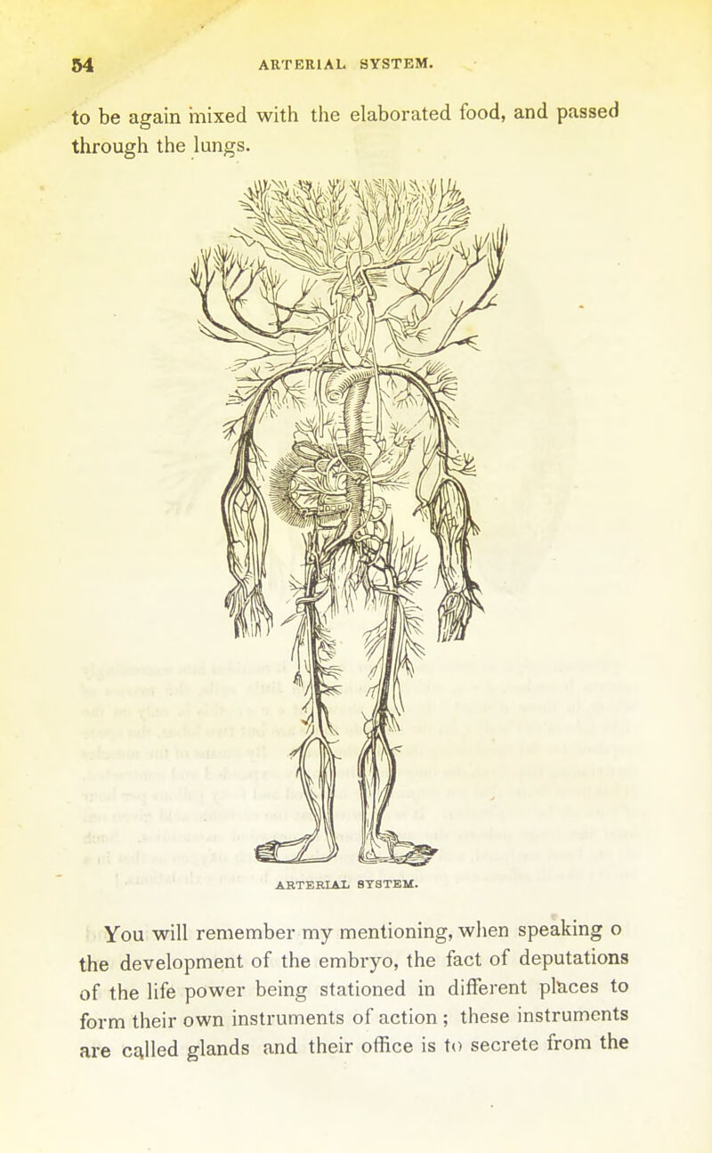 to be again mixed with the elaborated food, and passed through the lungs. ARTESIAL 8T8TBM. f . You will remember my mentioning, when speaking o the development of the embryo, the fact of deputations of the life power being stationed in different pfeces to form their own instruments of action ; these instruments are c£illed glands and their office is to secrete from the