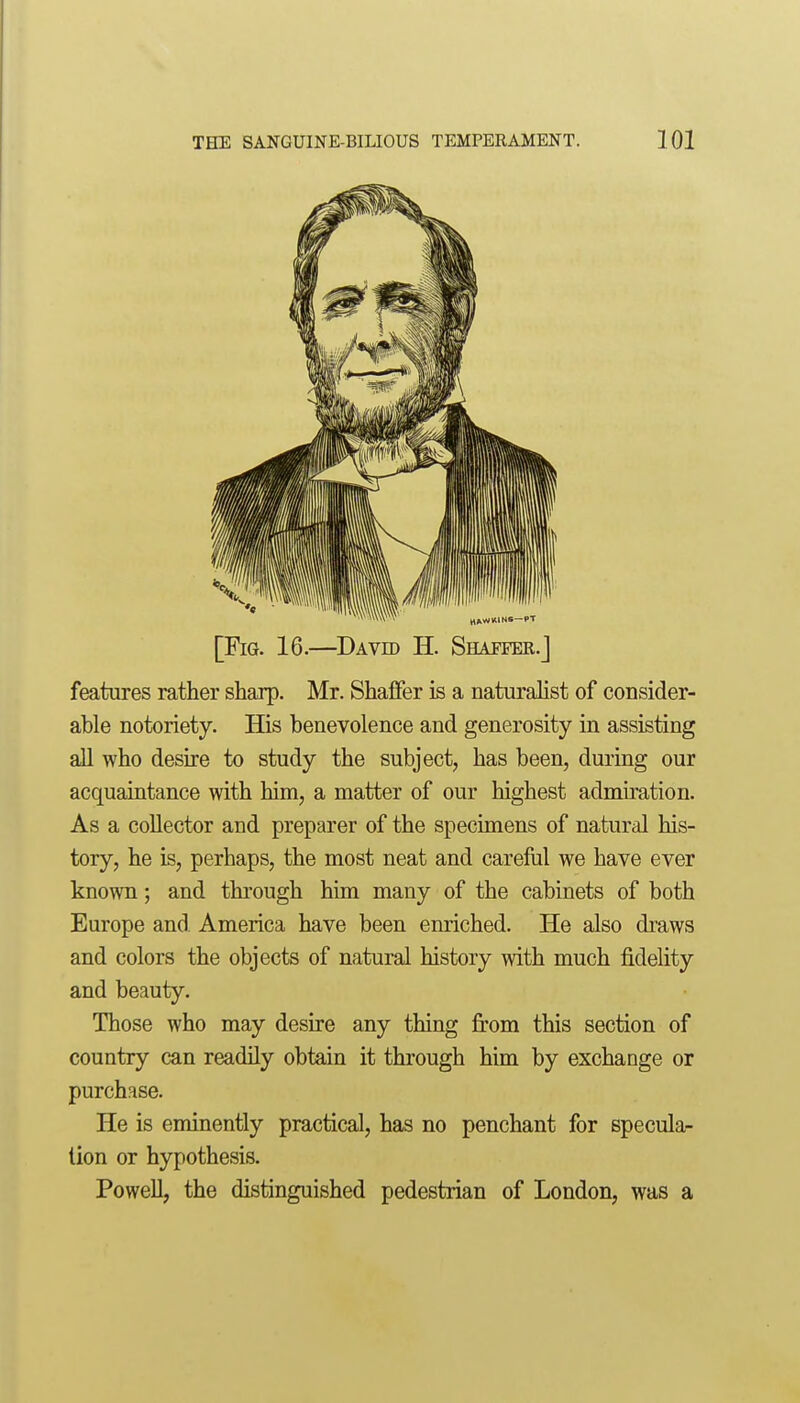 [Fig. 16.—David H. Shaffer.] features rather sharp. Mr. Shaffer is a naturalist of consider- able notoriety. His benevolence and generosity in assisting all who desire to study the subject, has been, during our acquaintance with him, a matter of our highest admiration. As a collector and preparer of the specimens of natural his- tory, he is, perhaps, the most neat and careful we have ever known; and through him many of the cabinets of both Europe and America have been enriched. He also draws and colors the objects of natural history with much fidelity and beauty. Those who may desire any thing fi'om this section of country can readily obtain it through him by exchange or purchase. He is eminently practical, has no penchant for specula- tion or hypothesis. Powell, the distinguished pedestrian of London, was a