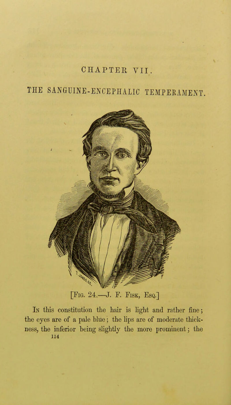 THE SANGUINE-ENCEPHALIC TEMPERAMENT. [Fig. 24.—J. F. Fisk, Esq.] In this constitution the hair is hght and rather fine; the eyes are of a pale blue; the lips are of moderate thick- ness, the inferior being slightly the more prominent; the