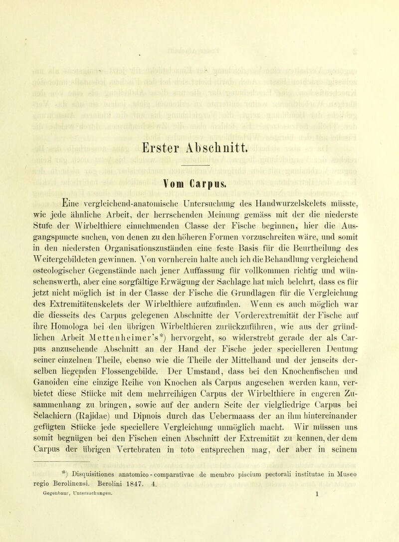 Erster Abschnitt. Vom Carpus. Eine vergleichend-anatomische Untersuchung des Handwurzelskelets müsste, wie jede ähnliche Arbeit, der herrschenden Meinung* gemäss mit der die niederste Stufe der Wirbelthiere einnehmenden Classe der Fische beginnen, hier die Aus- gangspunkte suchen, von denen zu den höheren Formen vorzuschreiten wäre, und somit in den niedersten Organisationszuständen eine feste Basis für die Beurtheilung des Weitergebildeten gewinnen. Von vornherein halte auch ich die Behandlung vergleichend osteologischer Gegenstände nach jener Auffassung für vollkommen richtig und wün- schenswerth, aber eine sorgfältige Erwägung der Sachlage hat mich belehrt, dass es fiir jetzt nicht möglich ist in der Classe der Fische die Grundlagen für die Vergleichung des Extremitätenskelets der Wirbelthiere aufzufinden. Wenn es auch möglich war die diesseits des Carpus gelegenen Abschnitte der Vorderextremität der Fische auf ihre Homologa bei den übrigen Wirbelthieren zurückzuführen, wie aus der gründ- lichen Arbeit Mettenheimer's*) hervorgeht, so widerstrebt gerade der als Car- pus anzusehende Abschnitt an der Hand der Fische jeder specielleren Deutung seiner einzelnen Theile, ebenso wie die Theile der Mittelhand und der jenseits der- selben liegenden Flossengebilde. Der Umstand, dass bei den Knochenfischen und Ganoiden eine einzige Reihe von Knochen als Carpus angesehen werden kann, ver- bietet diese Stücke mit dem mehrreihigen Carpus der Wirbelthiere in engeren Zu- sammenhang zu bringen, sowie auf der andern Seite der vielgliedrige Carpus bei Selachiern (Rajidae) und Dipnois durch das Uebermaass der an ihm hintereinander gefügten Stücke jede speciellere Vergleichung unmöglich macht. Wir müssen uns somit begnügen bei den Fischen einen Abschnitt der Extremität zu kennen, der dem Carpus der übrigen Vertebraten in toto entsprechen mag, der aber in seinem *) Disquisitiones anatomico - comparativae de membro piscium pectorali institutae in Museo regio Berolinensi. Berolini 1847. 4. Gegenbaur, Untersuchungen. \