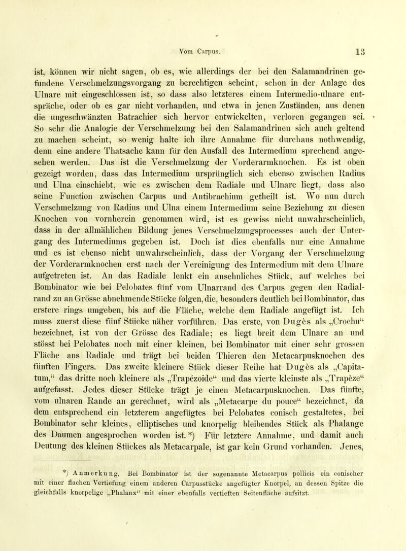 ist, können wir nicht sagen, ob es, wie allerdings der bei den Salamandrinen ge- fundene VerschmelzungsVorgang zu berechtigen scheint, schon in der Anlage des Ulnare mit eingeschlossen ist, so dass also letzteres einem Intermedio-ulnare ent- spräche, oder ob es gar nicht vorhanden, und etwa in jenen Zuständen, aus denen die ungeschwänzten Batrachier sich hervor entwickelten, verloren gegangen sei. • So sehr die Analogie der Verschmelzung bei den Salamandrinen sich auch geltend zu machen scheint, so wenig halte ich ihre Annahme für durchaus nothwendig, denn eine andere Thatsache kann für den Ausfall des Intermedium sprechend ange- sehen werden. Das ist die Verschmelzung der Vorderarmknochen. Es ist oben gezeigt worden, dass das Intermedium ursprünglich sich ebenso zwischen Radius und Ulna einschiebt, wie es zwischen dem Radiale und Ulnare liegt, dass also seine Function zwischen Carpus und Antibrachium getheilt ist. Wo nun durch Verschmelzung von Radius und Ulna einem Intermedium seine Beziehung zu diesen Knochen von vornherein genommen wird, ist es gewiss nicht unwahrscheinlich, dass in der allmählichen Bildung jenes Verschmelzungsprocesses auch der Unter- gang des Intermediums gegeben ist. Doch ist dies ebenfalls nur eine Annahme und es ist ebenso nicht unwahrscheinlich, dass der Vorgang der Verschmelzung der Vorderarmknochen erst nach der Vereinigung des Intermedium mit dem Ulnare aufgetreten ist. An das Radiale lenkt ein ansehnliches Stück, auf welches bei Bombinator wie bei Pelobates fünf vom Ulnarrand des Carpus gegen den Radial- rand zu an Grösse abnehmende Stücke folgen, die, besonders deutlich bei Bombinator, das erstere rings umgeben, bis auf die Fläche, welche dem Radiale angefügt ist. Ich muss zuerst diese fünf Stücke näher vorführen. Das erste, von Duges als „Crochu bezeichnet, ist von der Grösse des Radiale; es liegt breit dem Ulnare an und stösst bei Pelobates noch mit einer kleinen, bei Bombinator mit einer sehr grossen Fläche ans Radiale und trägt bei beiden Thieren den Metacarpusknochen des fünften Fingers. Das zweite kleinere Stück dieser Reihe hat Duges als „Capita- tum, das dritte noch kleinere als „Trapezoide und das vierte kleinste als „Trapeze aufgefasst. Jedes dieser Stücke trägt je einen Metacarpusknochen. Das fünfte, vom ulnaren Rande an gerechnet, wird als „Metacarpe du pouce bezeichnet, da dem entsprechend ein letzterem angefügtes bei Pelobates conisch gestaltetes, bei Bombinator sehr kleines, elliptisches und knorpelig bleibendes Stück als Phalange des Daumen angesprochen worden ist. *) Für letztere Annahme, und damit auch Deutung des kleinen Stückes als Metacarpale, ist gar kein Grund vorhanden. Jenes, *) Anmerkung. Bei Bombinator ist der sogenannte Metacarpus pollicis ein conischer mit einer flachen Vertiefung einem anderen Carpusstücke angefügter Knorpel, an dessen Spitze die gleichfalls knorpelige „Phalanx mit einer ebenfalls vertieften Seitenfläche aufsitzt.
