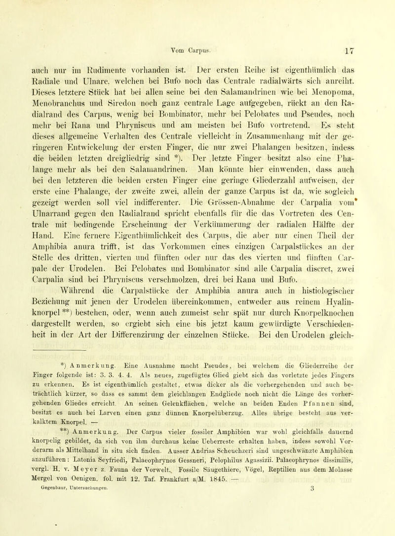 auch nur im Rudimente vorhanden ist. Der ersten Reihe ist eig'enthümlich das Radiale und Ulnare, welchen bei Bufo noch das Centrale radialwärts sich anreiht. Dieses letztere Stück hat bei allen seine bei den Salamandrinen wie bei Menopoma, Menobranchus und Siredon noch ganz centrale Lage aufgegeben, rückt an den Ra- dialrand des Carpus, wenig bei Bombinator, mehr bei Pelobates und Pseudes, noch mehr bei Rana und Phryniscus und am meisten bei Bufo vortretend. Es steht dieses allgemeine Verhalten des Centrale vielleicht in Zusammenhang mit der ge- ringeren Entwickelung der ersten Finger, die nur zwei Phalangen besitzen, indess die beiden letzten dreigliedrig sind *). Der letzte Finger besitzt also eine Pha- lange mehr als bei den Salamandrinen. Man könnte hier einwenden, dass auch bei den letzteren die beiden ersten Finger eine geringe Gliederzahl aufweisen, der erste eine Phalange, der zweite zwei, allein der ganze Carpus ist da, wie sogleich gezeigt werden soll viel inditFerenter. Die Grössen-Abnahme der Carpalia vom* Ulnarrand gegen den Radialrand spricht ebenfalls für die das Vortreten des Cen- trale mit bedingende Erscheinung der Verkümmerung der radialen Hälfte der Hand. Eine fernere Eigenthümlichkeit des Carpus, die aber nur einen Theil der Amphibia anura trifft, ist das Vorkommen eines einzigen Carpalstückes an der Stelle des dritten, vierten und fünften oder nur das des vierten und fünften Car- pale der Urodelen. Bei Pelobates und Bombinator sind alle Carpalia discret, zwei Carpalia sind bei Phryniscus verschmolzen, drei bei Rana und Bufo. Während die Carpalstücke der Amphibia anura auch in histologischer Beziehung mit jenen der Urodelen übereinkommen, entweder aus reinem Hyalin- knorpel **) bestehen, oder, wenn auch zumeist sehr spät nur durch Knorpelknochen dargestellt werden, so ergiebt sich eine bis jetzt kaum gewürdigte Verschieden- heit in der Art der Differenzirung der einzelnen Stücke. Bei den Urodelen gleich- *) Anmerkung. Eine Ausnahme macht Pseudes, bei welchem die Gliederreihe der Finger folgende ist: 3. 3. 4. 4. Als neues, zugefügtes Glied giebt sich das vorletzte jedes Fingers zu erkennen. Es ist eigenthümlich gestaltet, etwas dicker als die vorhergehenden und auch be- trächtlich kürzer, so dass es sammt dem gleichlangen Endgliede noch nicht die Länge des vorher- gehenden Gliedes erreicht. An seinen Gelenkflächen, welche an beiden Enden Pfannen sind, besitzt es auch bei Larven einen ganz dünnen Knorpelüberzug. Alles übrige besteht aus ver- kalktem Knorpel. — **) Anmerkung. Der Carpus vieler fossiler Amphibien war wohl gleichfalls dauernd knorpelig gebildet, da sich von ihm durchaus keine Ueberreste erhalten haben, indess sowohl Vor- derarm als Mittelhand in situ sich finden. Ausser Andrias Scheuchzeri sind ungeschwänzte Amphibien anzuführen: Latonia Seyfriedi, Palaeophrynos Gessneri, Pelophilus Agassizii. Palaeophrynos dissimilis, vergl. H. v. Meyer z. Fauna der Vorwelt., Fossile Säugethiere, Vögel, Reptilien aus dem Molasse Mergel von Oenigen. fol. mit 12. Taf. Frankfurt a/M. 1845. — Gegenbaur, Untersuchungen. 3