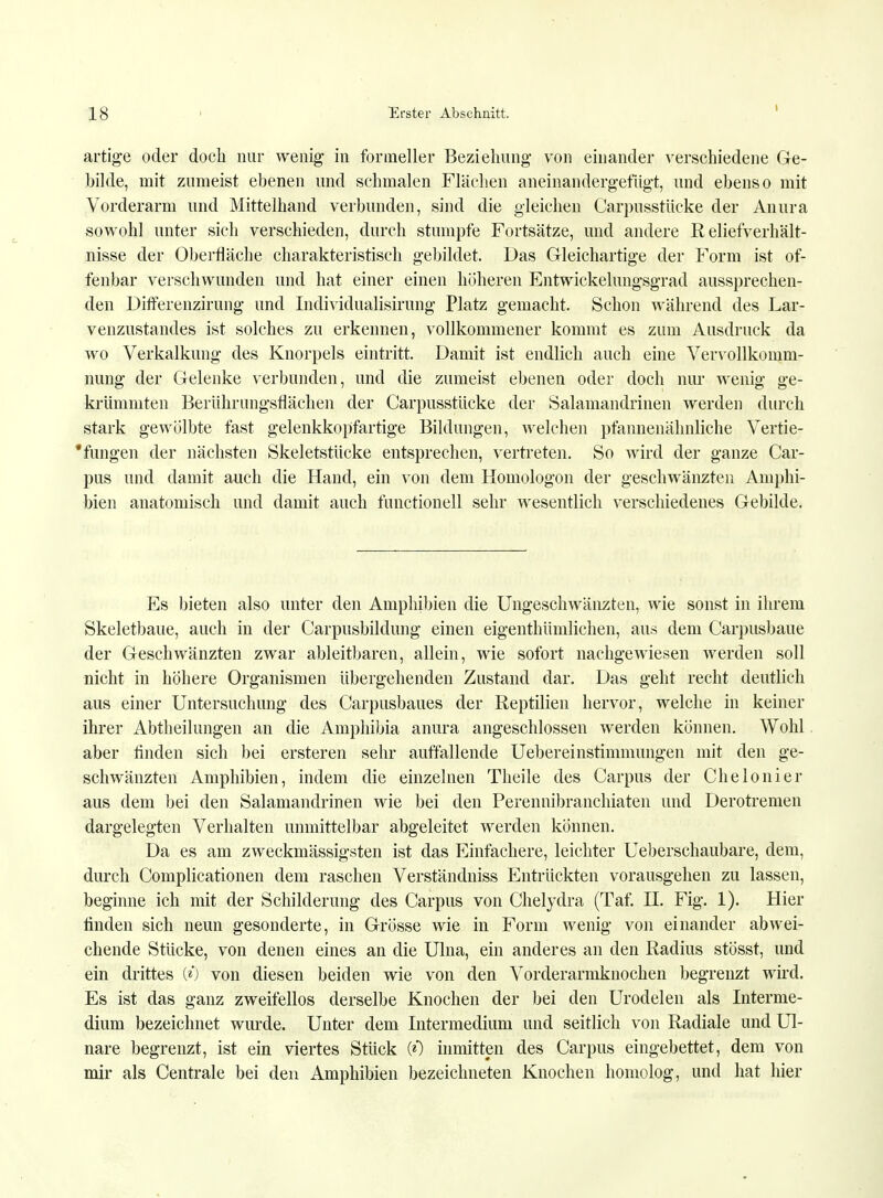 i artige oder doch nur wenig in formeller Beziehung' von einander verschiedene Ge- bilde, mit zumeist ebenen und schmalen Flächen aneinandergefügt, und ebenso mit Vorderarm und Mittelhand verbunden, sind die gleichen Carpusstücke der Anura sowohl unter sich verschieden, durch stumpfe Fortsätze, und andere Reliefverhält- nisse der Oberfläche charakteristisch gebildet. Das Gleichartige der Form ist of- fenbar verschwunden und hat einer einen höheren Entwickelungsgrad aussprechen- den Differenzirung und Individualisirung Platz gemacht. Schon während des Lar- venzustandes ist solches zu erkennen, vollkommener kommt es zum Ausdruck da wo Verkalkung des Knorpels eintritt. Damit ist endlich auch eine Vervollkomm- nung der Gelenke verbunden, und die zumeist ebenen oder doch nur wenig ge- krümmten Berührungsflächen der Carpusstücke der Salamandrinen werden durch stark gewölbte fast gelenkkopfartige Bildungen, welchen pfannenähnliche Vertie- fungen der nächsten Skeletstücke entsprechen, vertreten. So wird der ganze Car- pus und damit auch die Hand, ein von dem Homologon der geschwänzten Amphi- bien anatomisch und damit auch functionell sehr wesentlich verschiedenes Gebilde. Es bieten also unter den Amphibien die Ungeschwänzten, wie sonst in ihrem Skeletbaue, auch in der Carpusbildung einen eigenthümlichen, aus dem Carpusbaue der Geschwänzten zwar ableitbaren, allein, wie sofort nachgewiesen werden soll nicht in höhere Organismen übergehenden Zustand dar. Das geht recht deutlich aus einer Untersuchung des Carpusbaues der Reptilien hervor, welche in keiner ihrer Abtheilungen an die Amphibia anura angeschlossen werden können. Wohl aber finden sich bei ersteren sehr auffallende Uebereinstimmungen mit den ge- schwänzten Amphibien, indem die einzelnen Theile des Carpus der Chelonier aus dem bei den Salamandrinen wie bei den Perennibranchiaten und Derotremen dargelegten Verhalten unmittelbar abgeleitet werden können. Da es am zweckmässigsten ist das Einfachere, leichter Ueberschaubare, dem, durch Complicationen dem raschen Verständniss Entrückten vorausgehen zu lassen, beginne ich mit der Schilderung des Carpus von Chelydra (Taf. IL Fig. 1). Hier linden sich neun gesonderte, in Grösse wie in Form wenig von einander abwei- chende Stücke, von denen eines an die Ulna, ein anderes an den Radius stösst, und ein drittes (0 von diesen beiden wie von den Vorderarmknochen begrenzt wird. Es ist das ganz zweifellos derselbe Knochen der bei den Urodelen als Interme- dium bezeichnet wurde. Unter dem Intermedium und seitlich von Radiale und Ul- nare begrenzt, ist ein viertes Stück (0 inmitten des Carpus eingebettet, dem von mir als Centrale bei den Amphibien bezeichneten Knochen homolog, und hat hier