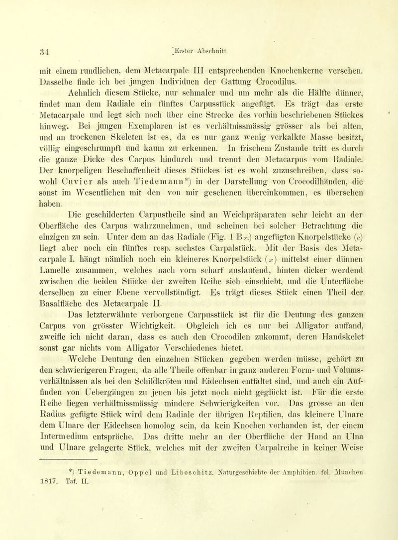 mit einem rundlichen, dem Metacarpale III entsprechenden Knochenkerne versehen. Dasselbe finde ich bei jungen Individuen der Gattung Crocodilus. Aehnlich diesem Stücke, nur schmaler und um mehr als die Hälfte dünner, findet man dem Radiale ein fünftes Carpusstück angefügt. Es trägt das erste Metacarpale und legt sich noch über eine Strecke des vorhin beschriebenen Stückes hinweg. Bei jungen Exemplaren ist es verhältnismässig grösser als bei alten, und an trockenen Skeleten ist es, da es nur ganz wenig verkalkte Masse besitzt, völlig eingeschrumpft und kaum zu erkennen. In frischem Zustande tritt es durch die ganze Dicke des Carpus hindurch und trennt den Metacarpus vom Radiale. Der knorpeligen Beschaffenheit dieses Stückes ist es wohl zuzuschreiben, dass so- wohl Ouvi er als auch Tiedemann*) in der Darstellung von Crocodilhänden, die sonst im Wesentlichen mit den von mir gesehenen übereinkommen, es übersehen haben. Die geschilderten Carpustheile sind an Weichpräparaten sehr leicht an der Oberfläche des Carpus wahrzunehmen, und scheinen bei solcher Betrachtung die einzigen zu sein. Unter dem an das Radiale (Fig. 1 B ?-.) angefügten Knorpelstücke (c) liegt aber noch ein fünftes resp. sechstes Carpalstück. Mit der Basis des Meta- carpale I. hängt nämlich noch ein kleineres Knorpelstück (x) mittelst einer dünnen Lamelle zusammen, welches nach vorn scharf auslaufend, hinten dicker werdend zwischen die beiden Stücke der zweiten Reihe sich einschiebt, und die Unterfläche derselben zu einer Ebene vervollständigt. Es trägt dieses Stück einen Theil der Basalfiäche des Metacarpale II. Das letzterwähnte verborgene Carpusstück ist für die Deutung des ganzen Carpus von grösster Wichtigkeit. Obgleich ich es nur bei Alligator auffand, zweifle ich nicht daran, dass es auch den Crocodilen zukommt, deren Handskelet sonst gar nichts vom Alligator Verschiedenes bietet. Welche Deutung den einzelnen Stücken gegeben werden müsse, gehört zu den schwierigeren Fragen, da alle Theile offenbar in ganz anderen Form- und Volums- verhältnissen als bei den Schildkröten und Eidechsen entfaltet sind, und auch ein Auf- finden von Uebergängen zu jenen bis jetzt noch nicht geglückt ist. Für die erste Reihe liegen verhältnissmässig mindere Schwierigkeiten vor. Das grosse an den Radius gefügte Stück wird dem Radiale der übrigen Reptilien, das kleinere Ulnare dem Ulnare der Eidechsen homolog sein, da kein Knochen vorhanden ist, der einem Intermedium entspräche. Das dritte mehr an der Oberfläche der Hand an Ulna und Ulnare gelagerte Stück, welches mit der zweiten Carpalreihe in keiner Weise *) Tiedemann, Oppel und Liboschitz. Naturgeschichte der Amphibien, fol. München 1817. Taf. II.