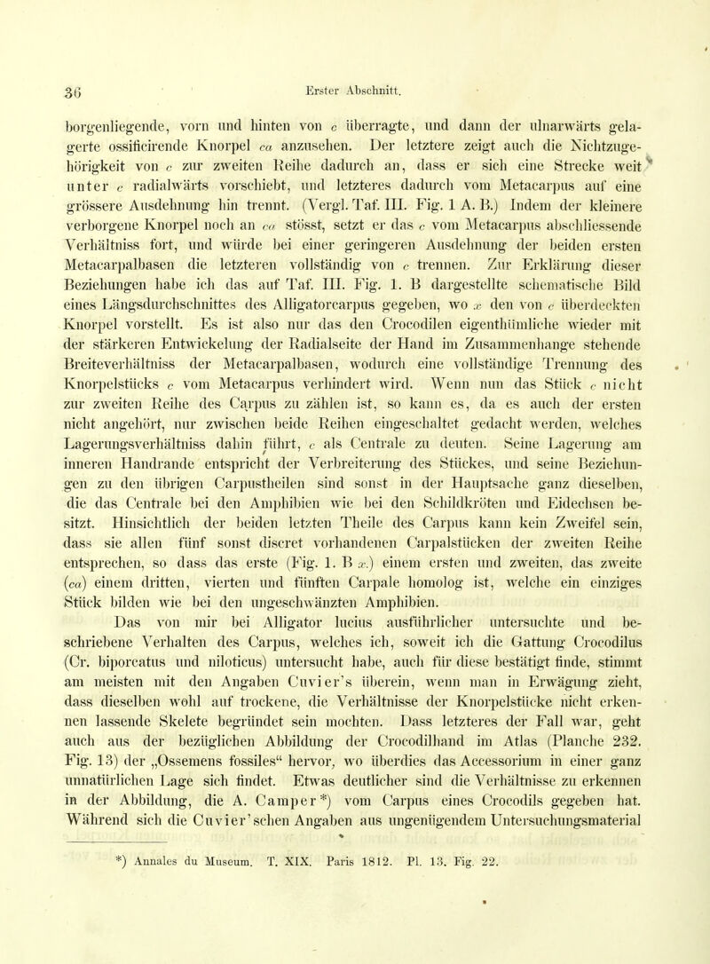 borgenliegende, vorn und hinten von c überragte, und dann der ulnarwärts gela- gerte ossificirende Knorpel ca anzusehen. Der letztere zeigt auch die Nichtzuge- hörigkeit von e zur zweiten Reihe dadurch an, dass er sich eine Strecke weit unter c radialwärts vorschiebt, und letzteres dadurch vom Metacarpus auf eine grössere Ausdehnung hin trennt. (Vergl. Tat. III. Fig. 1 A. B.) Indem der kleinere verborgene Knorpel noch an ca stösst, setzt er das c vom Metacarpus abschliessende Verhältniss fort, und würde bei einer geringeren Ausdehnung der beiden ersten Metacarpalbasen die letzteren vollständig von c trennen. Zur Erklärung dieser Beziehungen habe ich das auf Taf. III. Fig. 1. B dargestellte schematische Bild eines Längsdurchschnittes des Alligatorcarpus gegeben, wo x den von a überdeckten Knorpel vorstellt. Es ist also nur das den Crocodilen eigenthiimliche wieder mit der stärkeren Entwickelung der Radialseite der Hand im Zusammenhange stehende Breiteverhältniss der Metacarpalbasen, wodurch eine vollständige Trennung des Knorpelstücks c vom Metacarpus verhindert wird. Wenn nun das Stück c nicht zur zweiten Reihe des Carpus zu zählen ist, so kann es, da es auch der ersten nicht angehört, nur zwischen beide Reihen eingeschaltet gedacht werden, welches Lagerungsverhältniss dahin führt, e als Centrale zu deuten. Seine Lagerung am inneren Handrande entspricht der Verbreiterung des Stückes, und seine Beziehun- gen zu den übrigen Carpustheilen sind sonst in der Hauptsache ganz dieselben, die das Centrale bei den Amphibien wie bei den Schildkröten und Eidechsen be- sitzt. Hinsichtlich der beiden letzten Theile des Carpus kann kein Zweifel sein, dass sie allen fünf sonst discret vorhandenen Carpalstücken der zweiten Reihe entsprechen, so dass das erste (Fig. 1. B .r.) einem ersten und zweiten, das zweite (ca) einem dritten, vierten und fünften Carpale homolog ist, welche ein einziges Stück bilden wie bei den ungeschwänzten Amphibien. Das von mir bei Alligator lucius ausführlicher untersuchte und be- schriebene Verhalten des Carpus, welches ich, soweit ich die Gattung Crocodilus (Cr. biporcatus und niloticus) untersucht habe, auch für diese bestätigt linde, stimmt am meisten mit den Angaben Cuvier's überein, wenn man in Erwägung zieht, dass dieselben wohl auf trockene, die Verhältnisse der Knorpelstücke nicht erken- nen lassende Skelete begründet sein mochten. Dass letzteres der Fall war, geht auch aus der bezüglichen Abbildung der Crocodilhand im Atlas (Planche 232. Fig. 13) der „Ossemens fossiles hervor, wo überdies das Accessorium in einer ganz unnatürlichen Lage sich findet. Etwas deutlicher sind die Verhältnisse zu erkennen in der Abbildung, die A. Camper*) vom Carpus eines Crocodüs gegeben hat. Während sich die Cuvier'sehen Angaben aus ungenügendem Untersuchungsmaterial *) Annales du Museum. T. XIX. Paris 1812. PI. 13. Fig. 22.