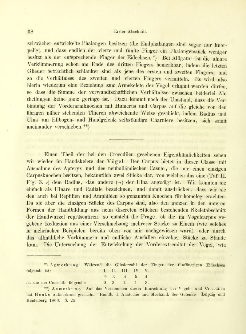 schwächer entwickelte Phalangen besitzen (die Endphalangeu sind sogar nur knor- pelig), und dass endlich der vierte und fünfte Finger ein Phalangenstück weniger besitzt als der entsprechende Finger der Eidechsen. *) Bei Alligator ist die ulnare Verkümmerung schon am Ende des dritten Fingers bemerkbar, indem die letzten Glieder beträchtlich schlanker sind als jene des ersten und zweiten Fingers, und so die Verhältnisse des zweiten und vierten Fingers vermitteln. Es wird also hierin wiederum eine Beziehung zum Armskelete der Vögel erkannt werden dürfen, so dass die Summe der verwandtschaftlichen Verhältnisse zwischen beiderlei Ab- theilungen keine ganz geringe ist. Dazu kommt noch der Umstand, dass die Ver- bindung der Vorderarmknochen mit Humerus und Carpus auf die gleiche von den übrigen näher stehenden Thieren abweichende Weise geschieht, indem Radius und Ulna am Ellbogen- und Handgelenk selbständige Charniere besitzen, sich somit aneinander verschieben. **) Einen Theil der bei den Oocodilen gesehenen Eigenthümlichkeiten sehen wir wieder im Handskelete der Vögel. Der Carpus bietet in dieser Ciasse mit Ausnahme des Apteryx und des neuholländischen Casuar, die nur einen einzigen Carpusknochen besitzen, bekanntlich zwei Stücke dar, von welchen das eine (Taf. II. Fig. 3. r) dem Radius, das andere (u) der Ulna angefügt ist. Wir könnten sie einfach als Ulnare und Radiale bezeichnen, und damit ausdrücken, dass wir sie den auch bei Reptilien und Amphibien so genannten Knochen für homolog erachten. Da sie aber die einzigen Stücke des Carpus sind, also den ganzen in den unteren Formen der Handbildung aus neun discreten Stücken bestehenden Skeletabschnitt der Handwurzel repräsentiren, so entsteht die Frage, ob die im Vogelcarpus ge- gebene Reduction aus einer Verschmelzung mehrerer Stücke zu Einem (wie solches in mehrfachen Beispielen bereits oben von mir nachgewiesen ward), oder durch das allmähliche Verkümmern und endliche Ausfallen einzelner Stücke zu Stande kam. Die Untersuchung der Entwickelung der Vorderextremität der Vögel, wie *) Anmerkung. Während die Gliederzahl der Finger der fünffingrigen Eidechsen folgende ist: I. II. III. IV. V. 2 3 4 5 4 ist die der Crocodile folgende: 2 3 4 4 3. **) Anmerkung. Auf das Vorkommen dieser Einrichtung bei Vögeln und Croeodilen hat Henke aufmerksam gemacht. Handb. d. Anatomie und Mechanik der Gelenke. Leipzig und Heidelberg 1863. S. 25.
