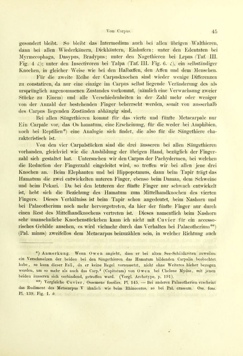 Vom Carpus. 45 gesondert bleibt. So bleibt das Intermedium auch bei allen übrigen Walthieren, dann bei allen Wiederkäuern, Dickhäutern, Einhufern: unter den Edentaten bei Myrmecophaga, Dasypus, Bradypus; unter den Nagethieren bei Lepus (Tai. III. Fig. 4 ?.); unter den Insectivoren bei Talpa (Taf. III. Fig. 6. ?'.), ein selbständiger Knochen, in gleicher Weise wie bei den Halbaffen, den Affen und dem Menschen. Für die zweite Reihe der Carpusknochen sind wieder wenige Differenzen zu constatiren, da nur eine einzige im Carpus selbst liegende Veränderung des als ursprünglich angenommenen Zustandes vorkommt, (nämlich eine Verwachsung zweier Stücke zu Einem) und alle Verschiedenheiten in der Zahl mehr oder weniger von der Anzahl der bestehenden Finger beherrscht werden, somit von ausserhalb des Carpus liegenden Zuständen abhängig sind. Bei allen Säugethieren kommt für das vierte und fünfte Metacarpale nur Ein Carpale vor, das Os hamatum, eine Erscheinung, für die weder bei Amphibien, noch bei Reptilien*) eine Analogie sich rindet, die also für die Säugethiere cha- rakteristisch ist. Von den vier Carpalstücken sind die drei äusseren bei allen Säugethieren vorhanden, gleichviel wie die Ausbildung der übrigen Hand, bezüglich der Finger- zahl sich gestaltet hat. Untersuchen wir den Carpus der Pachydermen, bei welchen die Reduction der Fingerzahl eingeleitet wird, so treffen wir bei allen jene drei Knochen an. Beim Elephanten und bei Hippopotamus, dann beim Tapir trägt das Hamatum die zwei entwickelten unteren Finger, ebenso beim Daman, dem Schweine und beim Pekari. Da bei den letzteren der fünfte Finger nur schwach entwickelt ist, hebt sich die Beziehung des Hamatum zum Mittelhandknochen des vierten Fingers. Dieses Verhältniss ist beim Tapir schon angedeutet, beim Nashorn und bei Palaeotherium noch mehr hervorgetreten, da hier der fünfte Finger nur durch einen Rest des Mittelhandknochens vertreten ist. Dieses namentlich beim Nashorn sehr unansehnliche Knochenstückchen kann ich nicht mit Cuvier für ein accesso- risches Gebilde ansehendes wird vielmehr durch das Verhalten bei Palaeotherium**) (Pal. minus) zweifellos dem Metacarpus beizuzählen sein, in welcher Richtung auch *) Anmerkung. Wenn Owen angiebt, dass er bei alten See-Schildkröten zuweilen ein Verschmelzen der beiden bei den Säugethieren das Hamatum bildenden Carpalia beobachtet habe , so kann dieser Fall, da er keine Regel voraussetzt, nicht ohne Weiteres hieher bezogen werden, um so mehr als auch das Carp.3 (Capitatum) von Owen bei Chelone Mydas, mit jenen beiden äusseren sich verbindend, getroffen ward. (Vergl. Archetype, p. 191). **) Vergleiche Cuvier, Ossemens fossiles. PI. 145. — Bei anderen Palaeotherien erscheint das Rudiment des Metacarpus V ähnlich wie beim Rhinoceros, so bei Pal. crassum. Oss. foss. PI. 139. Fig. 1. k.
