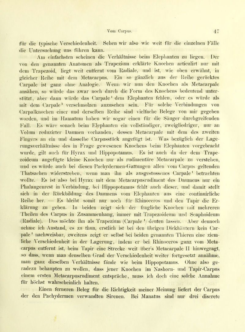 für die typische Verschiedenheit. Sehen wir also wie weit für die einzelnen Fälle die Untersuchung uns führen kann. Am einfachsten scheinen die Verhältnisse beim Elephanten zu liegen. Der von den genannten Anatomen als Trapezium erklärte Knochen articulirt nur mit dem Trapezoid, liegt weit entfernt vom Radiale, und ist, wie oben erwähnt, in gleicher Reihe mit dem Metacarpus. Ein so gänzlich aus der Reihe gerücktes Carpale ist ganz ohne Analogie. Wenn wir nun den Knochen als Metacarpale ansähen, so würde das zwar noch durch die Form des Knochens bedeutend unter- stützt, aber dann würde das Carpale1 dem Elephanten fehlen, oder es würde als mit dem Carpale2 verschmolzen anzusehen sein. Für solche Verbindungen von Carpalknochen einer und derselben Reihe sind vielfache Belege von mir gegeben worden, und im Hamatum haben wir sogar einen für die Säuger durchgreifenden Fall. Es wäre sonach beim Elephanten ein vollständiger, zweigliedriger, nur an Volum reduzirter Daumen vorhanden, dessen Metacarpale mit dem des zweiten Fingers an ein und dasselbe Carpusstück angefügt ist. Was bezüglich der Lage- rungsverhältnisse des in Frage gewesenen Knochens beim Elephanten vorgebracht wurde, gilt auch für Hyrax und Hippopotamus. Es ist auch da der dem Trape- zoideum angefügte kleine Knochen nur als rudimentäre Metacarpale zu verstehen, und es würde auch bei diesen Pachydermen-Gattungen allen vom Carpus geltenden Thatsachen widerstreben, wenn man ihn als ausgestossenes Carpale1 betrachten wollte. Es ist also bei Hyrax mit dem Metacarpusrudiment des Daumens nur ein Phalangenrest in Verbindung, bei Hippopotamus fehlt auch dieser, und damit stellt sich in der Rückbildung des Daumens vom Elephanten aus eine continimiiche Reihe her. — Es bleibt somit nur noch für Rhinoceros und den Tapir die Er- klärung zu geben. In beiden zeigt sich der fragliche Knochen mit mehreren Theilen des Carpus in Zusammenhang, immer mit Trapezoideum und Scaphoideum (Radiale). Das möchte ihn als Trapezium (Carpale i) deuten lassen. Aber dennoch nehme ich Anstand, es zu thun, erstlich ist bei den übrigen Dickhäutern kein Car- pale 1 nachweisbar, zweitens zeigt er selbst bei beiden genannten Thieren eine ziem- liche Verschiedenheit in der Lagerung, indem er bei Rhinoceros ganz vom Meta- carpus entfernt ist, beim Tapir eine Strecke weit iiber's Metacarpale II hinwegragt, so dass, wenn man denselben Grad der Verschiedenheit weiter fortgesetzt annähme, man ganz dieselben Verhältnisse fände wie beim Hippopotamus. Ohne also ge- radezu behaupten zu wollen, dass jener Knochen im Nashorn- und Tapir-Carpus einem ersten Metacarpusrudiment entspräche, muss ich doch eine solche Annahme für höchst wahrscheinlich halten. Einen ferneren Beleg für die Richtigkeit meiner Meinung liefert der Carpus der den Pachydermen verwandten Sirenen. Bei Manatus sind nur drei discrete