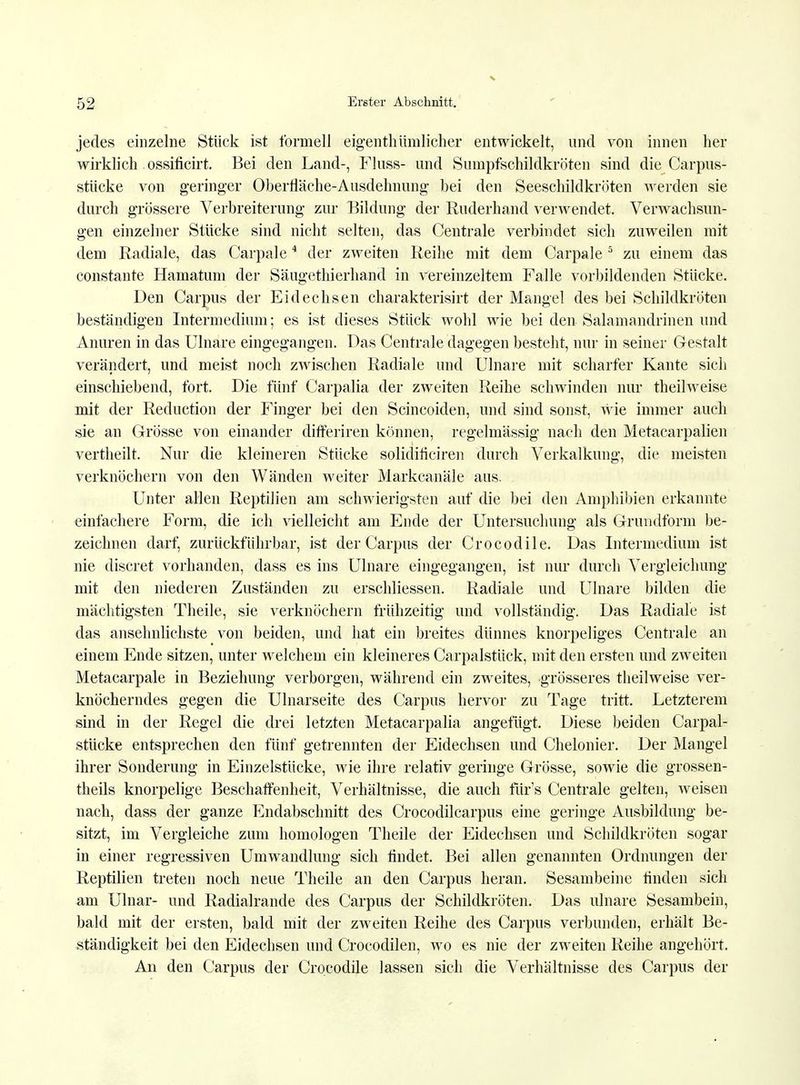jedes einzelne Stück ist formell eigentümlicher entwickelt, und von innen her wirklich ossificirt. Bei den Land-, Fluss- und Sumpfschildkröten sind die Carpus- stücke von geringer Oberfläche-Ausdehnung bei den Seeschildkröten werden sie durch grössere Verbreiterung zur Bildung der Ruderhand verwendet. Verwachsun- gen einzelner Stücke sind nicht selten, das Centrale verbindet sich zuweilen mit dem Radiale, das Carpale4 der zweiten Reihe mit dem Carpale 5 zu einem das constante Hamatum der Säugethierhand in vereinzeltem Falle vorbildenden Stücke. Den Carpus der Eidechsen charakterisirt der Mangel des bei Schildkröten beständigen Intermedium; es ist dieses Stück wohl wie bei den Salamandrinen und Anuren in das Ulnare eingegangen. Das Centrale dagegen besteht, nur in seiner Gestalt verändert, und meist noch zwischen Radiale und Ulnare mit scharfer Kante sich einschiebend, fort. Die fünf Carpalia der zweiten Reihe schwinden nur theilweise mit der Reduction der Finger bei den Scincoiden, und sind sonst, wie immer auch sie an Grösse von einander differiren können, regelmässig nach den Metacarpalien vertheilt. Nur die kleineren Stücke solidiiiciren durch Verkalkung, die meisten verknöchern von den Wänden weiter Markcanäle aus. Unter allen Reptilien am schwierigsten auf die bei den Amphibien erkannte einfachere Form, die ich vielleicht am Ende der Untersuchung als Grundform be- zeichnen darf, zurückführbar, ist der Carpus der Crocodile. Das Intermedium ist nie discret vorhanden, dass es ins Ulnare eingegangen, ist nur durch Vergleichung mit den niederen Zuständen zu erschliessen. Radiale und Ulnare bilden die mächtigsten Theile, sie verknöchern frühzeitig und vollständig. Das Radiale ist das ansehnlichste von beiden, und hat ein breites dünnes knorpeliges Centrale an einem Ende sitzen, unter welchem ein kleineres Carpalstück, mit den ersten und zweiten Metacarpale in Beziehung verborgen, während ein zweites, grösseres theilweise ver- knöcherndes gegen die Ulnarseite des Carpus hervor zu Tage tritt. Letzterem sind in der Regel die drei letzten Metacarpalia angefügt. Diese beiden Carpal- stücke entsprechen den fünf getrennten der Eidechsen und Chelonier. Der Mangel ihrer Sonderung in Einzelstücke, wie ihre relativ geringe Grösse, sowie die grossen- theils knorpelige Beschaffenheit, Verhältnisse, die auch für's Centrale gelten, weisen nach, dass der ganze Endabschnitt des Crocodilcarpus eine geringe Ausbildung be- sitzt, im Vergleiche zum homologen Theile der Eidechsen und Schildkröten sogar in einer regressiven Umwandlung sich findet. Bei allen genannten Ordnungen der Reptilien treten noch neue Theile an den Carpus heran. Sesambeine finden sich am Ulnar- und Radialrande des Carpus der Schildkröten. Das ulnare Sesambein, bald mit der ersten, bald mit der zweiten Reihe des Carpus verbunden, erhält Be- ständigkeit bei den Eidechsen und Crocodilen, wo es nie der zweiten Reihe angehört. An den Carpus der Crocodile lassen sich die Verhältnisse des Carpus der