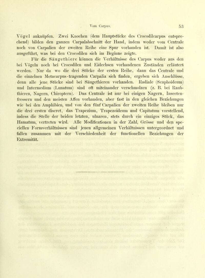 Vögel anknüpfen. Zwei Knochen (dem Hauptstücke des Crocodilcarpus entspre- chend) bilden den ganzen Carpalabschnitt der Hand, indem weder vom Centrale noch von Carpalien der zweiten Reihe eine Spur vorhanden ist. Damit ist also ausgeführt, Avas bei den Crocodilen sich im Beginne zeigte. Für die Säugethiere können die Verhältnisse des Carpus weder aus den bei Vögeln noch bei Crocodilen und Eidechsen vorhandenen Zuständen erläutert werden. Nur da wo die drei Stücke der ersten Reihe, dann das Centrale und die einzelnen Metacarpus-tragenden Carpalia sich finden, ergeben sich Anschlüsse, denn alle jene Stücke sind bei Säugethieren vorhanden. Radiale (Scaphoideum) und Intermedium (Lunatum) sind oft miteinander verschmolzen (z. B. bei Raub- thieren, Nagern, Chiroptern). Das Centrale ist nur bei einigen Nagern, Insecten- fressern und den meisten Affen vorhanden, aber fast in den gleichen Beziehungen wie bei den Amphibien, und von den fünf Carpalien der zweiten Reihe bleiben nur die drei ersten discret, das Trapezium, Trapezoideum und Capitatum vorstellend, indess die Stelle der beiden letzten, ulnaren, stets durch ein einziges Stück, das Hamatum, vertreten wird. Alle Modificationen in der Zahl, Grösse und den spe- ciellen Formverhältnissen sind jenen allgemeinen Verhältnissen untergeordnet und fallen zusammen mit der Verschiedenheit der functionellen Beziehungen der Extremität.