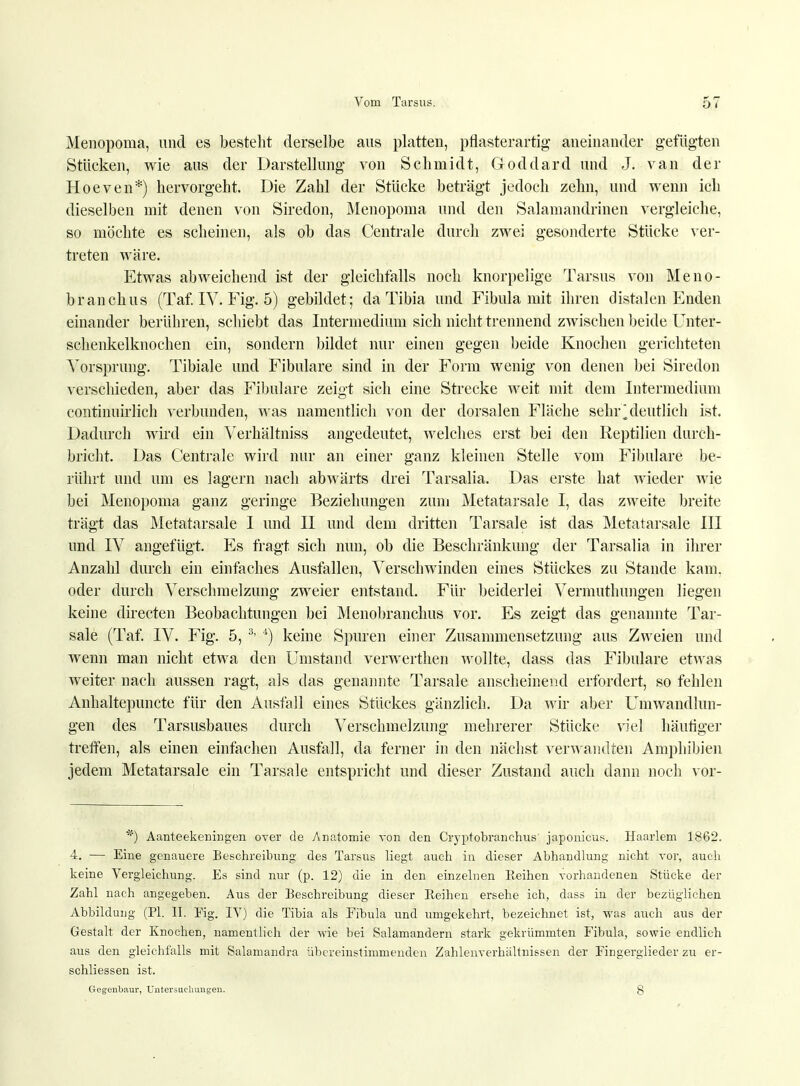 Menopoma, und es besteht derselbe aus platten, pflasterartig aneinander gefügten Stücken, wie aus der Darstellung von Schmidt, Goddard und J. van der Hoeven*) hervorgeht. Die Zahl der Stücke beträgt jedoch zehn, und wenn ich dieselben mit denen von Siredon, Menopoma und den Salamandrinen vergleiche, so möchte es scheinen, als ob das Centrale durch zwei gesonderte Stücke ver- treten wäre. Etwas abweichend ist der gleichfalls noch knorpelige Tarsus von Meno- branchus (Taf. IV. Fig. 5) gebildet; daTibia und Fibula mit ihren distalen Enden einander berühren, schiebt das Intermedium sich nicht trennend zwischen beide Unter- schenkelknochen ein, sondern bildet nur einen gegen beide Knochen gerichteten Vorsprung. Tibiale und Fibulare sind in der Form wenig von denen bei Siredon verschieden, aber das Fibulare zeigt sich eine Strecke weit mit dem Intermedium continuirlich verbunden, was namentlich von der dorsalen Fläche sehi\ deutlich ist. Dadurch wird ein Verhältniss angedeutet, welches erst bei den Reptilien durch- bricht. Das Centrale wird nur an einer ganz kleinen Stelle vom Fibulare be- rührt und um es lagern nach abwärts drei Tarsalia. Das erste hat wieder wie bei Menopoma ganz geringe Beziehungen zum Metatarsale I, das zweite breite trägt das Metatarsale I und II und dem dritten Tarsale ist das Metatarsale III und IV angefügt. Es fragt sich nun, ob die Beschränkung der Tarsalia in ihrer Anzahl durch ein einfaches Ausfallen, Verschwinden eines Stückes zu Stande kam. oder durch Verschmelzung zweier entstand. Für beiderlei Vermuthungen liegen keine directen Beobachtungen bei Menobranchus vor. Es zeigt das genannte Tar- sale (Taf. IV. Fig. 5, 3' 4) keine Spuren einer Zusammensetzung aus Zweien und wenn man nicht etwa den Umstand verwerthen wollte, dass das Fibulare etwas weiter nach aussen ragt, als das genannte Tarsale anscheinend erfordert, so fehlen Anhaltepuncte für den Ausfall eines Stückes gänzlich. Da wir aber Umwandlun- gen des Tarsusbaues durch Verschmelzung mehrerer Stücke viel häutiger treffen, als einen einfachen Ausfall, da ferner in den nächst verwandten Amphibien jedem Metatarsale ein Tarsale entspricht und dieser Zustand auch dann noch vor- *) Aanteekeningen over de Anatomie von den Cryptobranchus japonicus. Haarlem 1862. 4. — Eine genauere Beschreibung des Tarsus liegt auch in dieser Abhandlung nicht vor, auch keine Vergleichung. Es sind nur (p. 12) die in den einzelnen Reihen vorhandenen Stücke der Zahl nach angegeben. Aus der Beschreibung dieser Reihen ersehe ich, dass in der bezüglichen Abbildung (PI. II. Fig. IV) die Tibia als Fibula und umgekehrt, bezeichnet ist, was auch aus der Gestalt der Knochen, namentlich der wie bei Salamandern stark gekrümmten Fibula, sowie endlich aus den gleichfalls mit Salamandra übereinstimmenden ZahleiiTerhältnissen der Fingerglieder zu er- schliessen ist. Gegenbaur, Untersucliungen. 8