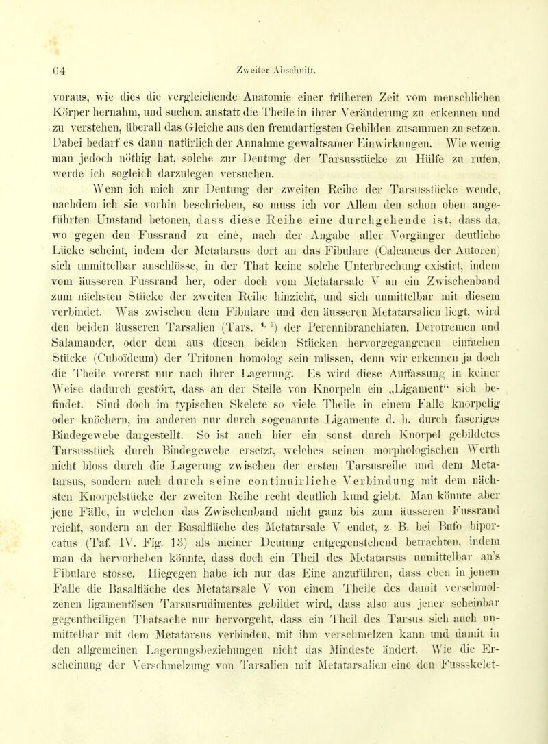 voraus, wie dies die vergleichende Anatomie einer früheren Zeit vom menschlichen Körper hernahm, und suchen, anstatt die Theile in ihrer Veränderung zu erkennen und zu verstehen, überall das Gleiche aus den fremdartigsten Gebilden zusammen zu setzen. Dabei bedarf es dann natürlich der Annahme gewaltsamer Einwirkungen. Wie wenig man jedoch nöthig hat, solche zur Deutung der Tarsusstücke zu Hülfe zu rufen, werde ich sogleich darzulegen versuchen. Wenn ich mich zur Deutung der zweiten Reihe der Tarsusstücke wende, nachdem ich sie vorhin beschrieben, so muss ich vor Allem den schon oben ange- führten Umstand betonen, dass diese Reihe eine durchgehende ist, dass da, wo gegen den Fussrand zu eine, nach der Angabe aller Vorgänger deutliche Lücke scheint, indem der Metatarsus dort an das Fibulare (Calcaneus der Autoren) sich unmittelbar anschlösse, in der That keine solche Unterbrechung existirt, indem vom äusseren Fussrand her, oder doch vom Metatarsale V an ein Zwischenband zum nächsten Stücke der zweiten Reihe hinzieht, und sich unmittelbar mit diesem verbindet. Was zwischen dem Fibulare und den äusseren Metatarsalien liegt, wird den beiden äusseren Tarsalien (Tars. 4' 5) der Perennibranchiaten, Derotremen und Salamander, oder dem aus diesen beiden Stücken hervorgegangenen einfachen Stücke (Cuboideum) der Tritonen homolog sein müssen, denn wir erkennen ja doch die Theile vorerst nur nach ihrer Lagerung. Es wird diese Autfassimg in keiner Weise dadurch gestört, dass an der Stelle von Knorpeln ein „Ligament sich be- findet. Sind doch im typischen Skelete so viele Theile in einem Falle knorpelig oder knöchern, im anderen nur durch sogenannte Ligamente d. h. durch faseriges Bindegewebe dargestellt. So ist auch hier ein sonst durch Knorpel gebildetes Tarsusstück durch Bindegewebe ersetzt, welches seinen morphologischen Werth nicht bloss durch die Lagerung zwischen der ersten Tarsusreihe und dem Meta- tarsus, sondern auch durch seine continuirliehe Verbindung mit dem näch- sten Knorpelstücke der zweiten Reihe recht deutlich kund giebt. Man könnte aber jene Fälle, in welchen das Zwischenband nicht ganz bis zum äusseren Fussrand reicht, sondern an der Basalfläche des Metatarsale V endet, z. B. bei Bufo bipor- catus (Taf. IV. Fig. 13) als meiner Deutung entgegenstehend betrachten, indem man da hervorheben könnte, dass doch ein Theil des Metatarsus unmittelbar an's Fibulare stosse. Hiegegen habe ich nur das Eine anzuführen, dass eben in jenem Falle die Basalfläche des Metatarsale V von einem Theile des damit verschmol- zenen ligamentösen Tarsusrudimentes gebildet wird, dass also aus jener scheinbar gegenteiligen Thatsache nur hervorgeht, dass ein Theil des Tarsus sich auch un- mittelbar mit dem Metatarsus verbinden, mit ihm verschmelzen kann und damit in den allgemeinen Lagerungsbeziehungen nicht das Mindeste ändert. Wie die Er- scheinung der Verschmelzung von Tarsalien mit Metatarsalien eine den Fussskelet-