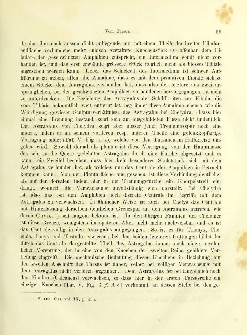 da das ihm nach aussen dicht anliegende nur mit einem Theile der breiten Fibular- endfläche verbundene meist cubisch gestaltete Knochenstück (/) offenbar dem Fi- bulare der geschwänzten Amphibien entspricht, ein Intermedium somit nicht vor- handen ist, und das erst erwähnte grössere Stück folglich nicht als blosses Tibiale angesehen werden kann. Ueber das Schicksal des Intermedium ist schwer Auf- klärung zu geben, allein die Annahme, dass es mit dem primitiven Tibiale sich zu einem Stücke, dem Astragalus, verbunden hat, dass also der letztere aus zwei ur- sprünglichen, bei den geschwänzten Amphibien vorhandenen hervorgegangen, ist nicht zu unterdrücken. Die Beziehung des Astragalus der Schildkröten zur Fibula, die vom Tibiale bekanntlich weit entfernt ist, begründet diese Annahme ebenso wie die Würdigung gewisser Sculpturverhältnisse des Astragalus bei Chelydra. Dass hier einmal eine Trennung bestand, zeigt sich am ausgebildeten Fusse nicht undeutlich. Der Astragalus von Chelydra zeigt aber ausser jener Trennungsspur noch eine andere, indem er an seinem vorderen resp. unteren Theile eine gelenkkopfartige Vorragung bildet (Taf. V. Fig. 1. c), welche von den Tarsalien im Halbkreise um- geben wird. Sowohl dorsal als plantar ist diese Vorragung von der Hauptmasse des sehr in die Quere gedehnten Astragalus durch eine Furche abgesetzt und es kann kein Zweifel bestehen, dass hier kein besonderes Skeletstück sich mit dem Astragalus verbunden hat, als welches nur das Centrale der Amphibien in Betracht kommen kann. Von der Plantarfiäche aus gesehen, ist diese Verbindung deutlicher als auf der dorsalen, indem hier in der Trennungsfurche ein Knorpelstreif ein- dringt, wodurch die Verwachsung unvollständig sich darstellt. Bei Chelydra ist also das bei den Amphibien noch cliscrete Centrale im Begriffe mit dem Astragalus zu verwachsen. In ähnlicher Weise ist auch bei Chelys das Centrale mit Hinterlassung derselben deutlichen Grenzspur an den Astragalus getreten, wie durch Cuvier*) seit langem bekannt ist. In den übrigen Familien der Chelonier ist diese Grenze, wenigstens im späteren Alter nicht mehr nachweisbar und es ist das Centrale völlig in den Astragalus aufgegangen. So ist es für Trionyx, Che- lonia, Emys und Testudo erwiesen; bei den beiden letzteren Gattungen bildet der durch das Centrale dargestellte Theil des Astragalus immer noch einen ansehn- lichen Vorsprung, der in eine von den Knochen der zweiten Reihe gebildete Ver- tiefung eingreift. Die mechanische Bedeutung dieses Knochens in Beziehung auf den zweiten Abschnitt des Tarsus ist daher, selbst bei völliger Verwachsung mit dem Astragalus nicht verloren gegangen. Dem Astragalus ist bei Emys auch noch das Fibulare (Calcaneus) verwachsen, so dass hier in der ersten Tarsusreihe ein einziger Knochen (Taf. V. Fig. 3. /. A. c.) vorkommt, an dessen Stelle bei den ge-