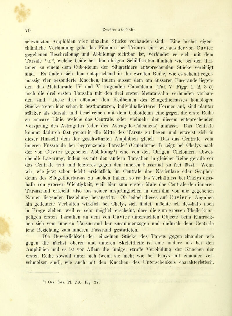 schwänzten Amphibien vier einzelne Stücke vorhanden sind. Eine höchst eigen- thümliche Verbindung geht das Fibulare bei Trionyx ein; wie aus der von Cuvier gegebenen Beschreibung und Abbildung sichtbar ist, verbindet es sich mit dem Tarsale 4 u.5, welche beide bei den übrigen Schildkröten ähnlich wie bei den Tri- tonen zu einem dem Cubo'ideum der Säugethiere entsprechenden Stücke vereinigt sind. P]s finden sich dem entsprechend in der zweiten Reihe, wie es scheint regel- mässig vier gesonderte Knochen, indem ausser dem am äusseren Fussrande liegen- den das Metatarsale IV und V tragenden Cubo'ideum (Taf. V. Figg, 1, 2, 3 G) noch die drei ersten Tarsalia mit den drei ersten Metatarsalia verbunden vorhan- den sind. Diese drei offenbar den Keilbeinen des Säugethierfusses homologen Stücke treten hier schon in bestimmteren, individualisirteren Formen auf, sind plantar stärker als dorsal, und beschreiben mit dem Cubo'ideum eine gegen die erste Reihe zu concave Linie, welche das Centrale, oder vielmehr den diesem entsprechenden Vorsprung des Astragalus (oder des Astragalo-Calcaneus) umfasst. Das Centrale kommt dadurch fast genau in die Mitte des Tarsus zu liegen und erweist sich in dieser Hinsicht dem der geschwänzten Amphibien gleich. Das das Centrale vom inneren Fussrande her begrenzende Tarsale1 (Cunei'forme I) zeigt bei Chelys nach der von Cuvier gegebenen Abbildung*) eine von den übrigen Cheloniern abwei- chende Lagerung, indem es mit den andern Tarsalien in gleicher Reihe gerade vor das Centrale tritt und letzteres gegen den inneren Fussrand zu frei lässt. Wenn wir, wie jetzt schon leicht ersichtlich, im Centrale das Naviculare oder Scapho'i- deum des Säugethiertarsus zu suchen haben, so ist das Verhältniss bei Chelys dess- halb von grosser Wichtigkeit, weil hier zum ersten Male das Centrale den inneren Tarsusrand erreicht, also aus seiner ursprünglichen in dem ihm von mir gegebenen Namen liegenden Beziehung heraustritt. Ob jedoch dieses auf Cuvier's Angaben hin gedeutete Verhalten wirklich bei Chelys sich findet, möchte ich desshalb noch in Frage ziehen, weil es sehr möglich erscheint, dass die zum grossen Theile knor- peligen ersten Tarsalien an dem von Cuvier untersuchten Objecte beim Eintrock- nen sich vom inneren Tarsusrand her zusammenzogen und dadurch dem Centrale jene Beziehung zum inneren Fussrand gestatteten. Die Beweglichkeit der einzelnen Stücke des Tarsus gegen einander wie gegen die nächst oberen und unteren Skelettheile ist eine andere als bei den Amphibien und es ist vor Allem die innige, straffe Verbindung der Knochen der ersten Reihe sowohl unter sich (wenn sie nicht wie bei Emys mit einander ver- schmolzen sind), wie auch mit den Knochen des Unterschenkels charakteristisch.