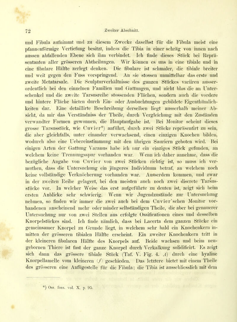 und Fibula aufnimmt und zu diesem Zwecke daselbst für die Fibula meist eine pfannenförmige Vertiefung besitzt, iridess die Tibia in einer schräg von innen nach aussen abfallenden Ebene sich ihm verbindet. Ich finde dieses Stück bei Reprä- sentanten aller grösseren Abtheilungen. Wir können es uns in eine tibiale und in eine fib'ulare Hälfte zerlegt denken. Die fibulare ist schmaler, die tibiale breiter und weit gegen den Fuss vorspringend. An sie stossen unmittelbar das erste und zweite Metatarsale. Die Sculpturverhältnisse des ganzen Stückes variiren ausser- ordentlich bei den einzelnen Familien und Gattungen, und nicht blos die an Unter- schenkel und die zweite Tarsusreihe stossenden Flächen, sondern auch die vordere und hintere Fläche bieten durch Ein- oder Ausbuchtungen gebildete Eigenthümlich- keiten dar. Eine detaillirte Beschreibung derselben liegt ausserhalb meiner Ab- sicht, da mir das Verständniss der Theile, durch Vergleichung mit den Zuständen verwandter Formen gewonnen, die Hauptaufgabe ist. Bei Monitor scheint dieses grosse Tarsusstück, wie Cuvier*) anführt, durch zwei Stücke repräsentirt zu sein, die aber gleichfalls, unter einander verwachsend, einen einzigen Knochen bilden, wodurch also eine Uebereinstimmung mit den übrigen Sauriern geboten wird. Bei einigen Arten der Gattung Varanus habe ich nur ein einziges Stück gefunden, an welchem keine Trennungsspur vorhanden war. Wenn ich daher annehme, dass die bezügliche Angabe von Cuvier von zwei Stücken richtig ist, so muss ich ver- rnuthen, dass die Untersuchung ein jüngeres Individuum betraf, an welchem noch keine vollständige Verknöcherung vorhanden war. Ausserdem kommen, und zwar in der zweiten Reihe gelagert, bei den meisten auch noch zwei discrete Tarsus- stücke vor. In welcher Weise das erst aufgeführte zu deuten ist, zeigt sich beim ersten Anblicke sehr schwierig. Wenn wir Jugendzustände zur Untersuchung nehmen, so finden wir immer die zwei auch bei dem Cuvier'schen Monitor vor- handenen anscheinend mehr oder minder selbständigen Theile, die aber bei genauerer Untersuchung nur von zwei Stellen aus erfolgte Ossiticationen eines und desselben Knorpelstückes sind. Ich finde nämlich, dass bei Lacerta dem ganzen Stücke ein gemeinsamer Knorpel zu Grunde liegt, in welchem sehr bald ein Knochenkern in- mitten der grösseren tibialen Hälfte erscheint. Ein zweiter Knochenkern tritt in der kleineren tibularen Hälfte des Knorpels auf. Beide wachsen und beim neu- gebornen Thiere ist fast der ganze Knorpel durch Verkalkung solidificirt. Es zeigt sich dann das grössere tibiale Stück (Taf. V. Fig. 4. Ä) durch eine hyaline Knorpellamelle vom kleineren (/) geschieden. Das letztere bietet mit einem Theile des grösseren eine Anfügesteile für die Fibula; die Tibia ist ausschliesslich mit dem