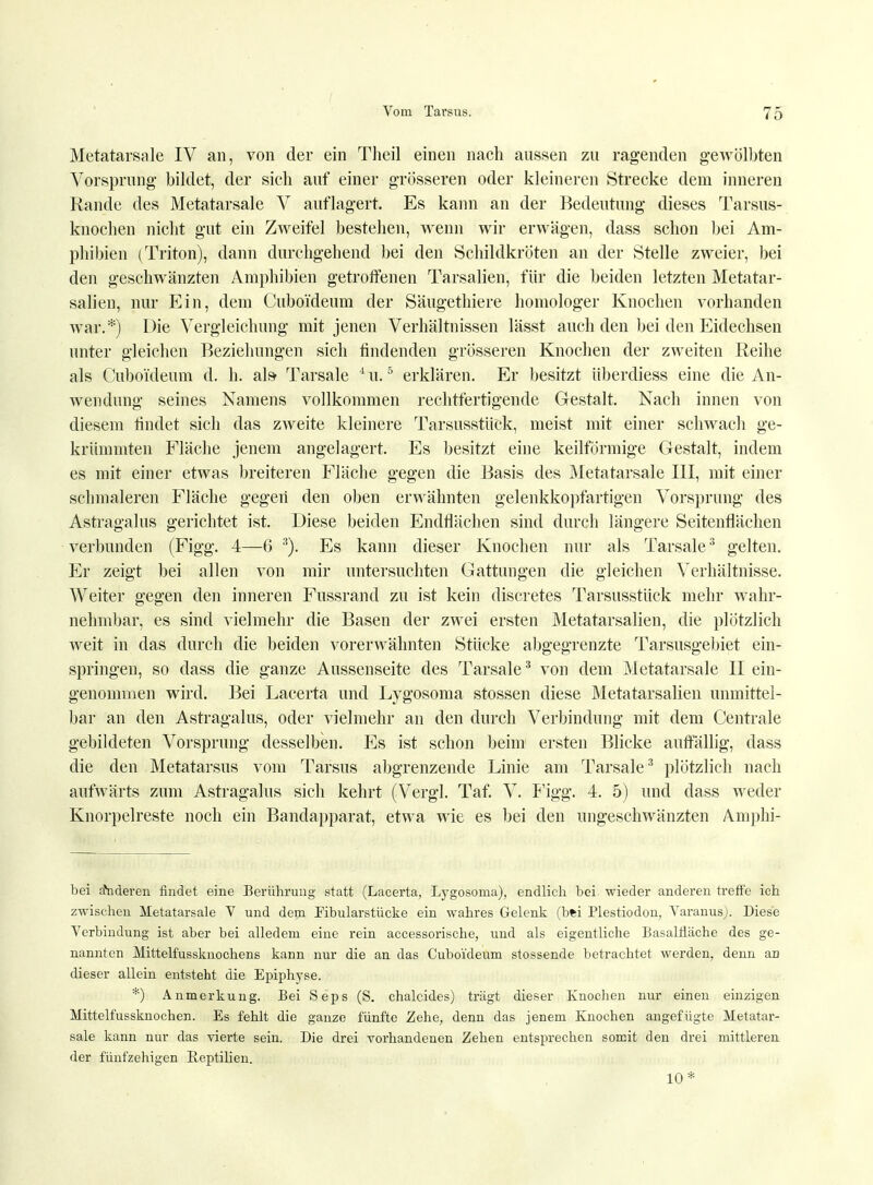Metatarsale IV an, von der ein Theil einen nach aussen zu ragenden gewölbten Vorsprung bildet, der sich auf einer grösseren oder kleineren Strecke dem inneren Rande des Metatarsale V auflagert. Es kann an der Bedeutung dieses Tarsus- knochen nicht gut ein Zweifel bestehen, wenn wir erwägen, dass schon bei Am- phibien (Triton), dann durchgehend bei den Schildkröten an der Stelle zweier, bei den geschwänzten Amphibien getroffenen Tarsalien, für die beiden letzten Metatar- salien, nur Ein, dem Cuboi'deum der Säugethiere homologer Knochen vorhanden war.*) Die Vergleichung mit jenen Verhältnissen lässt auch den bei den Eidechsen unter gleichen Beziehungen sich findenden grösseren Knochen der zweiten Reihe als Cuboi'deum d. h. als- Tarsale i u.5 erklären. Er besitzt überdiess eine die An- wendung seines Namens vollkommen rechtfertigende Gestalt. Nach innen von diesem findet sich das zweite kleinere Tarsusstück, meist mit einer schwach ge- krümmten Fläche jenem angelagert. Es besitzt eine keilförmige Gestalt, indem es mit einer etwas breiteren Fläche gegen die Basis des Metatarsale III, mit einer schmaleren Fläche gegen den oben erwähnten gelenkkopfartigen Vorsprung des Astragalus gerichtet ist. Diese beiden Endflächen sind durch längere Seitenflächen verbunden (Figg. 4—6 3). Es kann dieser Knochen nur als Tarsale3 gelten. Er zeigt bei allen von mir untersuchten Gattungen die gleichen Verhältnisse. Weiter gegen den inneren Fussrand zu ist kein discretes Tarsusstück mehr wahr- nehmbar, es sind vielmehr die Basen der zwei ersten Metatarsalien, die plötzlich weit in das durch die beiden vorerwähnten Stücke abgegrenzte Tarsusgebiet ein- springen, so dass die ganze Aussenseite des Tarsale3 von dem Metatarsale II ein- genommen wird. Bei Lacerta und Lygosoma stossen diese Metatarsalien unmittel- bar an den Astragalus, oder vielmehr an den durch Verbindung mit dem Centrale gebildeten Vorsprung desselben. Es ist schon beim ersten Blicke auffällig, dass die den Metatarsus vom Tarsus abgrenzende Linie am Tarsale3 plötzlich nach aufwärts zum Astragalus sich kehrt (Vergl. Taf. V. Figg. 4. 5) und dass weder Knorpelreste noch ein Bandapparat, etwa wie es bei den ungeschwänzten Amphi- bei änderen findet eine Berührung statt (Lacerta, Lygosoma), endlich bei. wieder anderen treffe ich zwischen Metatarsale V und dem Fibularstücke ein wahres Gelenk (bfti Plestiodon, Varanus). Diese Verbindung ist aber bei alledem eine rein accessorische, und als eigentliche Basalfläche des ge- nannten Mittelfussknochens kann nur die an das Cuboi'deum stossende betrachtet werden, denn an dieser allein entsteht die Epiphyse. *) Anmerkung. Bei Seps (S. chalcides) trägt dieser Knochen nur einen einzigen Mittelfussknochen. Es fehlt die ganze fünfte Zehe, denn das jenem Knochen angefügte Metatar- sale kann nur das vierte sein. Die drei vorhandenen Zehen entsprechen somit den drei mittleren der fünfzehigen Reptilien. 10*