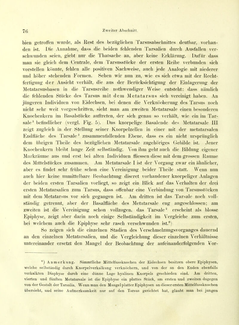 bien getroffen wurde, als Rest des bezüglichen Tarsnsabschnittes deutbar, vorhan- den ist. Die Annahme, dass die beiden fehlenden Tarsalien durch Ausfallen ver- schwunden seien, giebt nur die Thatsache an, aber keine Erklärung. Dafür dass man sie gleich dem Centrale, dem Tarsusstücke der ersten Reihe verbunden sich vorstellen könnte, fehlen alle positiven Nachweise, auch jede Analogie mit niederer und höher stehenden Formen. Sehen wir nun zu, wie es sich etwa mit der Recht- fertigung der Ansicht verhält, die aus der Berücksichtigung der Einlagerung der Metatarsusbasen in die Tarsusreihe nothwendiger Weise entsteht: dass nämlich die fehlenden Stücke des Tarsus mit dem Metatarsus sich vereinigt haben. An jüngeren Individuen von Eidechsen, bei denen die Verknöcherung des Tarsus noch nicht sehr weit vorgeschritten, sieht man am zweiten Metatarsale einen besonderen Knochenkern im Basalstücke auftreten, der sich genau so verhält, wie ein im Tar- sale3 beündlicher (vergl. Fig. 5). Das knorpelige Basalende des Metatarsale III zeigt zugleich in der Stellung seiner Knorpelzellen in einer mit der metatarsalen Endfläche des Tarsale:i zusammenfallenden Ebene, dass es ein nicht ursprünglich dem übrigen Theile des bezüglichen Metatarsale zugehöriges Gebilde ist. Jener Knochenkern bleibt lange Zeit selbständig. Von ihm geht auch die Bildung eigener Markräume aus und erst bei alten Individuen fliessen diese mit dem grossen Räume des Mittelstückes zusammen. Am Metatarsale I ist der Vorgang zwar ein ähnlicher, aber es findet sehr frühe schon eine Vereinigung beider Theile statt. Wenn nun auch hier keine unmittelbare Beobachtung discret vorhandener knorpeliger Anlagen der beiden ersten Tarsalien vorliegt, so zeigt ein Blick auf das Verhalten der drei ersten Metatarsalien zum Tarsus, dass offenbar eine Verbindung von Tarsusstiicken mit dem Metatarsus vor sich gegangen ist. Am dritten ist das Tarsale noch voll- ständig getrennt, aber der Basalfläche des Metatarsale eng angeschlossen; am zweiten ist die Vereinigung schon vollzogen, das Tarsale2 erscheint als blosse Epiphyse, zeigt aber darin noch einige Selbständigkeit im Vergleiche zum ersten, bei welchem auch die Epiphyse sehr rasch verschwunden ist.*) So zeigen sich die einzelnen Stadien des Verschmelzungsvorganges dauernd an den einzelnen Metatarsalien, und die Vergleichung dieser einzelnen Verhältnisse untereinander ersetzt den Mangel der Beobachtung der aufeinanderfolgenden Vor- *) Anmerkung. Sämmtliche Mittelfussknochen der Eidechsen besitzen obere Epiphysen, welche selbständig durch Knorpelverkalkung verknöchern, und von der an den Enden ebenfalls verkalkten Diaphyse durch eine dünne Lage hyalinen Knorpels geschieden sind. Am dritten, vierten und fünften Metatarsale ist die Epiphyse ein plattes Stück, am ersten und zweiten dagegen von der Gestalt der Tarsalia. Wenn man den Mangel platter Epiphysen an dieser ersten Mittelfussknochen übersieht, und seine Aufmerksamkeit nur auf den Tarsus gerichtet hat, glaubt man bei jungen