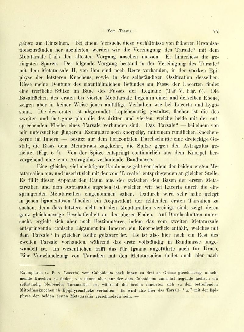 gänge am Einzelnen. Bei einem Versuche diese Verhältnisse von früheren Organisa- tionsznständen her abzuleiten, werden wir die Vereinigung des Tarsale1 mit dem Metatarsale I als den ältesten Vorgang ansehen müssen. Er hinterliess die ge- ringsten Spuren. Der folgende Vorgang bestand in der Vereinigung des Tarsale2 mit dem Metatarsale II, von ihm sind noch Reste vorhanden, in der starken Epi- physe des letzteren Knochens, sowie in der selbständigen Ossification desselben. Diese meine Deutung des eigenthümlichen Befundes am Fusse der Lacerten findet eine treffliche Stütze im Baue des Fusses der Leguane (Taf. V. Fig. 6). Die Basalflächen des ersten bis vierten Metatarsale liegen in einer und derselben Ebene, zeigen aber in keiner Weise jenes auffällige Verhalten wie bei Lacerta und Lygo- soma. Die des ersten ist abgerundet, köpfchenartig gestaltet, flacher ist die des zweiten und fast ganz plan die des dritten und vierten, welche beide mit der ent- sprechenden Fläche eines Tarsale verbunden sind. Das Tarsale3 —bei einem von mir untersuchten jüngeren Exemplare noch knorpelig, mit einem rundlichen Knochen- kerne im Innern — besitzt auf dem horizontalen Durchschnitte eine dreieckige Ge- stalt, die Basis dem Metatarsus zugekehrt, die Spitze gegen den Astragalus ge- richtet (Fig. G 3). Von der Spitze entspringt continuirlich aus dem Knorpel her- vorgehend eine zum Astragalus verlaufende Bandmasse. Eine gleiche, viel mächtigere Bandmasse geht von jedem der beiden ersten Me- tatarsalien aus, und inserirt sich mit der vom Tarsale3 entspringenden an gleicher Stelle. Es füllt dieser Apparat den Raum aus, der zwischen den Basen der ersten Meta- tarsalien und dem Astragalus gegeben ist, welchen wir bei Lacerta durch die ein- springenden Metatarsalien eingenommen sahen. Dadurch wird sehr nahe gelegt in jenen ligamentösen Theilen ein Aequivalent der fehlenden ersten Tarsalien zu suchen, denn dass letztere nicht mit den Metatarsalien vereinigt sind, zeigt deren ganz gleichmässige Beschaffenheit an den oberen Enden. Auf Durchschnitten unter- sucht, ergiebt sich aber noch Bestimmteres, indem das vom zweiten Metatarsale entspringende conische Ligament im Inneren ein Knorpelstück enthält, welches mit dem Tarsale3 in gleicher Reihe gelagert ist. Es ist also hier noch ein Rest des zweiten Tarsale vorhanden, während das erste vollständig in Bandmasse umge- wandelt ist. Im wesentlichen trifft das für Iguana angeführte auch für Draco. Eine Verschmelzung von Tarsalien mit den Metatarsalien findet auch hier nach Exemplaren (z. B. v. Lacerta) vom Cuboi'deum nach innen zu drei an Grösse gleichmässig abneh- mende Knochen zu finden, von denen aber nur der dem Cuboi'deum zunächst liegende factisch ein selbständig bleibendes Tarsusstück ist, während die beiden innersten sich zu den betreffenden Mittelfussknochen als Epiphysenstücke verhalten. Es -wird also hier das Tarsale 1 u. 2 mit der Epi- physe der beiden ersten Metatarsalia verschmolzen sein. —