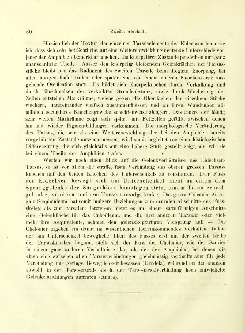 Hinsichtlich der Textur der einzelnen Tarsuselemente der Eidechsen bemerke ich, dass sich sehr beträchtliche, auf eine Weiterentwicklung deutende Unterschiede von jener der Amphibien bemerkbar machen. Im knorpeligen Zustande persistieren nur ganz unansehnliche Theile. Ausser den knorpelig bleibenden Gelenkflächen der Tarsus- stiicke bleibt nur das Rudiment des zweiten Tarsale beim Leguan knorpelig, bei allen übrigen findet früher oder später eine von einem inneren Knochenkerne aus- gehende Ossitication statt. Es bildet sich Knorpelknochen durch Verkalkung und durch Einschmelzen der verkalkten Grundsubstanz, sowie durch Wucherung der Zellen entstehen Markräume, welche gegen die Oberflächen der einzelnen Stücke wuchern, untereinander vielfach zusammenfliessen und an ihren Wandungen all- mählich secundäres Knochengewebe schichtenweise ablagern. Das Innere der häufig sehr weiten Markräume zeigt sich später mit Fettzellen gefüllt, zwischen denen hin und wieder Pigmentbildungen vorkommen. Die morphologische Veränderung des Tarsus, die wir als eine Weiterentwicklung der bei den Amphibien bereits vorgeführten Zustände ansehen müssen, wird somit begleitet von einer histiologischen Differenzirung, die sich gleichfalls auf eine höhere Stufe gestellt zeigt, als wir sie bei einem Theile der Amphibien trafen. » Werfen wir noch einen Blick auf die Gelenkverhältnisse des Eidechsen- Tarsus, so ist vor allem die straffe, feste Verbindung des oberen grossen Tarsus- knochen mit* den beiden Knochen des Unterschenkels zu constatiren. Der Fuss der Eidechsen bewegt sich am Unterschenkel nicht an einem dem Sprunggelenke der Säugethiere homologen Orte, einem Tarso-crural- gelenke, sondern in einem Tarso-tarsalgelenke. Das grosse Calcaneo-Astra- galo-Scaphoi'deum hat somit innigere Beziehungen zum cruralen Abschnitte des Fuss- skelets als zum tarsalen; letzterem bietet es an einem sattelförmigen Anschnitte eine Gelenkfläche für das CuboTdeuin, und die drei anderen Tarsalia oder viel- mehr ihre Aequivalente, nehmen den gelenkkopfartigen Vorsprung auf. — Die Chelonier ergeben ein damit im wesentlichen übereinkommendes Verhalten. Indem der am Unterschenkel bewegliche Theil des Fusses erst mit der zweiten Reihe der Tarsusknochen beginnt, stellt sich der Fuss der Chelonier, wie der Saurier in einem ganz anderen Verhältnisse dar, als der der Amphibien, bei denen die einen eine zwischen allen Tarsusverbindungen gleichmässig vertheilte aber für jede Verbindung nur geringe Beweglichkeit besassen (Urodela), während bei den anderen sowohl in der Tarso-crural- als in der Tarso-tarsalverbindung hoch entwickelte Gelenkeinrichtungen auftraten (Anura).