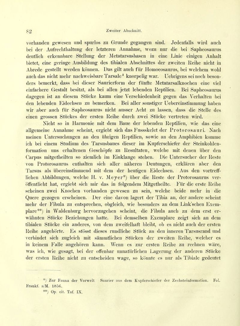 vorhanden gewesen und spurlos zu Grunde gegangen sind. Jedenfalls wird auch bei der Aufrechthaltung der letzteren Annahme, wozu nur die bei Sapheosaurus deutlich erkennbare Stellung der Metatarsusbasen in eine Linie einigen Anhalt bietet, eine geringe Ausbildung des tibialen Abschnittes der zweiten Reihe nicht in Abrede gestellt werden können. Das gilt auch für Homoeosaurus, bei welchem wohl auch das nicht mehr nachweisbare Tarsale3 knorpelig war. Uebrigens sei noch beson- ders bemerkt, dass bei dieser Saurierform der fünfte Metatarsalknochen eine viel einfachere Gestalt besitzt, als bei allen jetzt lebenden Reptilien. Bei Sapheosaurus dagegen ist an diesem Stücke kaum eine Verschiedenheit gegen das Verhalten bei den lebenden Eidechsen zu bemerken. Bei aller sonstiger Uebereinstimmung haben wir aber auch für Sapheosaurus nicht ausser Acht zu lassen, dass die Stelle des einen grossen Stückes der ersten Reihe durch zwei Stücke vertreten wird. Nicht so in Harmonie mit dem Baue der lebenden Reptilien, wie das eine allgemeine Annahme scheint, ergiebt sich das Fussskelet der Protorosauri. Nach meinen Untersuchungen an den übrigen Reptilien, sowie an den Amphibien komme ich bei einem Studium des Tarsusbaues dieser im Kupferschiefer der Steinkohlen- formation uns erhaltenen Geschöpfe zu Resultaten, welche mit denen über den Carpus mitgetheilten so ziemlich im Einklänge stehen. Die Untersucher der Reste von Protorosaurus enthalten sich aller näheren Deutungen, erklären aber den Tarsus als übereinstimmend mit dem der heutigen Eidechsen. Aus den vortreff- lichen Abbildungen, welche H. v. Meyer*) über die Reste der Protorosaurus ver- öffentlicht hat, ergiebt sich mir das in folgendem Mitgetheilte. Für die erste Reihe scheinen zwei Knochen vorhanden gewesen zu sein, welche beide mehr in die Quere gezogen erscheinen. Der eine davon lagert der Tibia an, der andere scheint mehr der Fibula zu entsprechen, obgleich, wie besonders an dem LimYschen Exem- plare**) in Waldenburg hervorzugehen scheint, die Fibula auch zu dem erst er- wähnten Stücke Beziehungen hatte. Bei demselben Exemplare zeigt sich an dem tibialen Stücke ein anderes, vori dem zweifelhaft bleibt, ob es nicht auch der ersten Reihe angehörte. Es stösst dieses rundliche Stück an den inneren Tarsusrand und verbindet sich zugleich mit sämmtlichen Stücken der zweiten Reihe, welcher es in keinem Falle angehören kann. Wenn es zur ersten Reihe zu rechnen wäre, was ich, wie gesagt, bei der offenbar unnatürlichen Lagerung der anderen Stücke der ersten Reihe nicht zu entscheiden wage, so könnte es nur als Tibiale gedeutet *) Zur Fauna der Vorwelt Saurier aus dem Kupferschiefer der Zechsteinformation. Fol. Frankf. a/M. 1856. **) Op. cit. Taf. IX.