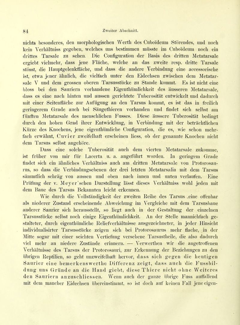 nichts besonderes, den morphologischen Werth des Cuboi'deum Störendes, und noch kein Verhältniss gegeben, welches uns bestimmen müsste im Cubo'ideum noch ein drittes Tarsale zu sehen. Die Configuration der Basis des dritten Metatarsale ergiebt vielmehr, dass jene Fläche, welche an das zweite resp. dritte Tarsale stösst, die Hauptgelenkrläche, und dass die andere Verbindung eine accessorische ist, etwa jener ähnlich, die vielfach unter den Eidechsen zwischen dem Metatar- sale V und dem grossen oberen Tarsusstücke zu Stande kommt. Es ist nicht eine bloss bei den Sauriern vorhandene Eigenthümlichkeit des äusseren Metatarsale, dass es eine nach hinten und aussen gerichtete Tuberosität entwickelt und dadurch mit einer Seitenfläche zur Anfügung an den Tarsus kommt, es ist das in freilich geringerem Grade auch bei Säugethieren vorhanden und findet sich selbst am fünften Metatarsale des menschlichen Fusses. Diese äussere Tuberosität bedingt durch den hohen Grad ihrer Entwicklung, in Verbindung mit der beträchtlichen Kürze des Knochens, jene eigenthümliche Configuration, die es, wie schon mehr- fach erwähnt, Cuvier zweifelhaft erscheinen liess, ob der genannte Knochen nicht dem Tarsus selbst angehöre. Dass eine solche Tuberosität auch dem vierten Metatarsale zukomme, ist früher von mir für Lacerta u. a. angeführt worden. In geringem Grade findet sich ein ähnliches Verhältniss auch am dritten Metatarsale von Protorosau- rns, so dass die Verbindungsebenen der drei letzten Metatarsalia mit dem Tarsus sämmtlich schräg von aussen und oben nach innen und unten verlaufen. Eine Prüfung der v. Meyer'sehen Darstellung lässt dieses Verhältniss wohl jeden mit dem Baue des Tarsus Bekannten leicht erkennen. Wie durch die Vollständigkeit der zweiten Reihe des Tarsus .eine offenbar als niederer Zustand erscheinende Abweichung im Vergleiche mit dem Tarsusbaue anderer Saurier sich herausstellt, so liegt auch in der Gestaltung der einzelnen Tarsusstücke selbst noch einige Eigenthümlichkeit. An der Stelle mannichfach ge- stalteter, durch eigenthümliche Reliefverhältnisse ausgezeichneter, in jeder Hinsicht individualisirter Tarsusstücke zeigen sich bei Protorosaurus mehr flache, in der Mitte sogar mit einer seichten Vertiefung versehene Tarsustheile, die also dadurch viel mehr an niedere Zustände erinnern. — Verwerthen wir die angetroffenen Verhältnisse des Tarsus der Protorosauri, zur Erkennung der Beziehungen zu den übrigen Reptilien, so geht unzweifelhaft hervor, dass sich gegen die heutigen Saurier eine bemerkenswerthe Differenz zeigt, dass auch die Fussbil- dung uns Gründe an die Hand giebt, diese Thiere nicht ohne Weiteres den Sauriern anzuschliessen. Wenn auch der ganze übrige Fuss auffallend mit dem mancher Eidechsen übereinstimmt, so ist doch auf keinen Fall jene eigen-