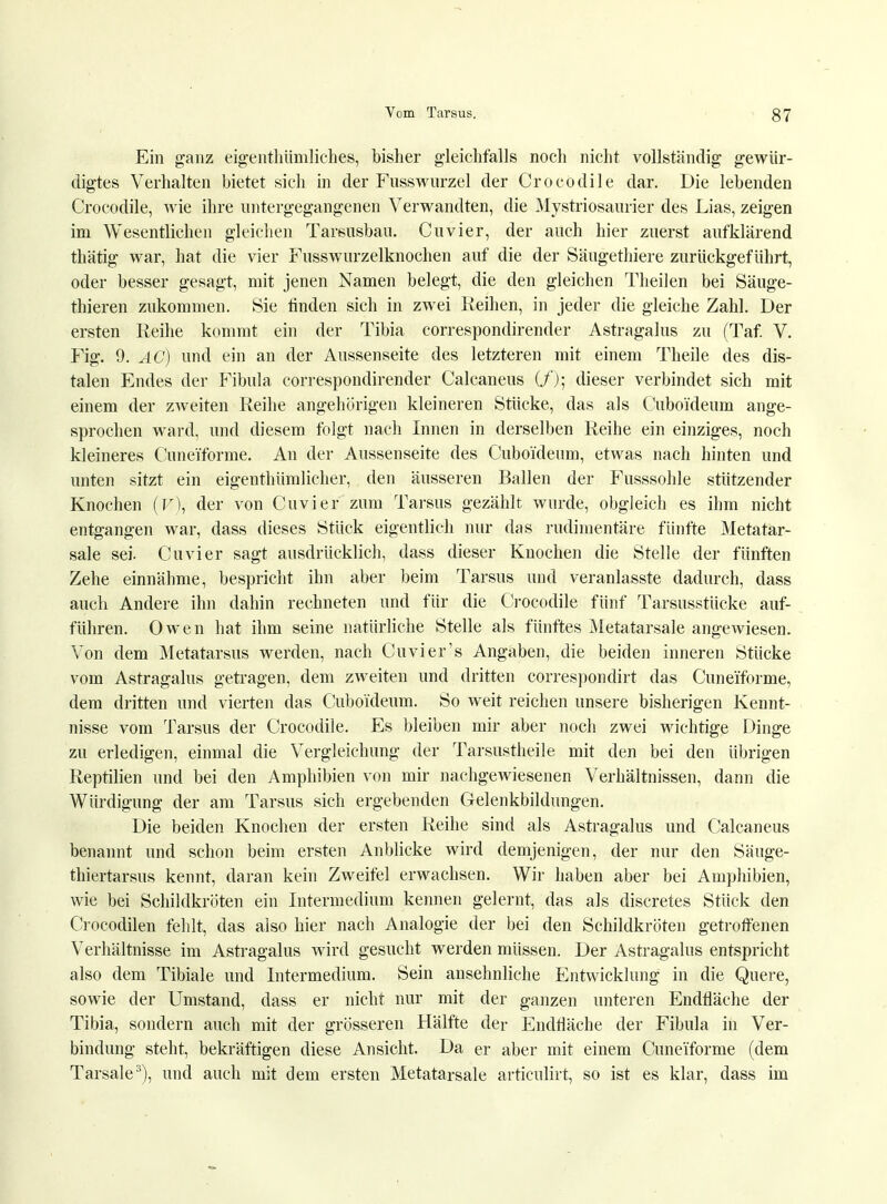 Ein ganz eigentümliches, bisher gleichfalls noch nicht vollständig gewür- digtes Verhalten bietet sich in der Fusswurzel der Crocodile dar. Die lebenden Crocodile, wie ihre untergegangenen Verwandten, die Mystriosaurier des Lias, zeigen im Wesentlichen gleichen Tarsusbau. Cuvier, der auch hier zuerst aufklärend thätig war, hat die vier Fusswurzelknochen auf die der Säugethiere zurückgeführt, oder besser gesagt, mit jenen Namen belegt, die den gleichen Theilen bei Säuge- thieren zukommen. Sie linden sich in zwei Reihen, in jeder die gleiche Zahl. Der ersten Reihe kommt ein der Tibia correspondirender Astragalus zu (Taf. V. Fig. 9. AG) und ein an der Aussenseite des letzteren mit einem Theile des dis- talen Endes der Fibula correspondirender Calcaneus (/).; dieser verbindet sich mit einem der zweiten Reihe angehörigen kleineren Stücke, das als Cuboi'deum ange- sprochen ward, und diesem folgt nach Innen in derselben Reihe ein einziges, noch kleineres Cunei'forme. An der Aussenseite des Cuboi'deum, etwas nach hinten und unten sitzt ein eigenthümlicher, den äusseren Ballen der Fusssohle stützender Knochen (F), der von Cuvier zum Tarsus gezählt wurde, obgleich es ihm nicht entgangen war, dass dieses Stück eigentlich nur das rudimentäre fünfte Metatar- sale sei. Cuvier sagt ausdrücklich, dass dieser Knochen die Stelle der fünften Zehe einnähme, bespricht ihn aber beim Tarsus und veranlasste dadurch, dass auch Andere ihn dahin rechneten und für die Crocodile fünf Tarsusstücke auf- führen. Owen hat ihm seine natürliche Stelle als fünftes Metatarsale angewiesen. Von dem Metatarsus werden, nach Cuvier's Angaben, die beiden inneren Stücke vom Astragalus getragen, dem zweiten und dritten correspondirt das Cunei'forme, dem dritten und vierten das Cuboi'deum. So weit reichen unsere bisherigen Kennt- nisse vom Tarsus der Crocodile. Es bleiben mir aber noch zwei wichtige Dinge zu erledigen, einmal die Vergleichung der Tarsustheile mit den bei den übrigen Reptilien und bei den Amphibien von mir nachgewiesenen Verhältnissen, dann die Würdigung der am Tarsus sich ergebenden Gelenkbildungen. Die beiden Knochen der ersten Reihe sind als Astragalus und Calcaneus benannt und schon beim ersten Anblicke wird demjenigen, der nur den Säuge- thiertarsus kennt, daran kein Zweifel erwachsen. Wir haben aber bei Amphibien, wie bei Schildkröten ein Intermedium kennen gelernt, das als discretes Stück den Crocodilen fehlt, das also hier nach Analogie der bei den Schildkröten getroffenen Verhältnisse im Astragalus wird gesucht werden müssen. Der Astragalus entspricht also dem Tibiale und Intermedium. Sein ansehnliche Entwicklung in die Quere, sowie der Umstand, dass er nicht nur mit der ganzen unteren Endfläche der Tibia, sondern auch mit der grösseren Hälfte der Endfläche der Fibula in Ver- bindung steht, bekräftigen diese Ansicht. Da er aber mit einem Cunei'forme (dem Tarsale3), und auch mit dem ersten Metatarsale articulirt, so ist es klar, dass im