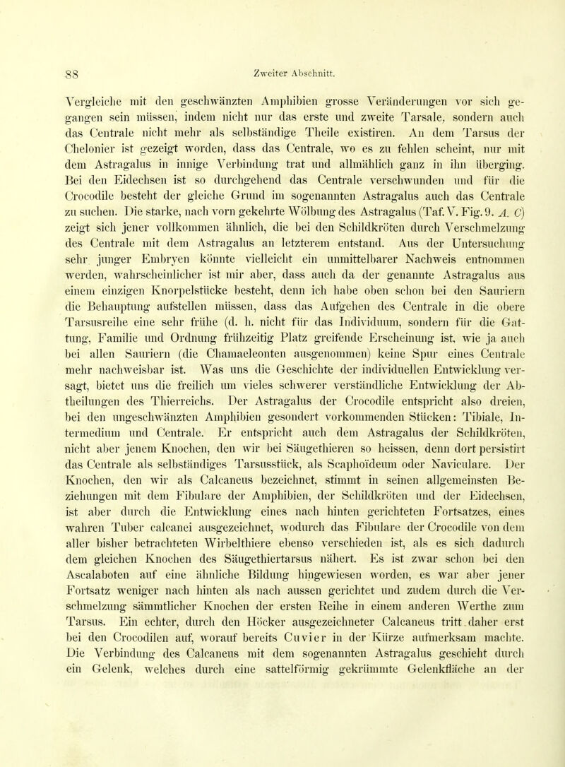 Vergleiche mit den geschwänzten Amphibien grosse Veränderungen vor sich ge- gangen sein müssen, indem nicht nur das erste und zweite Tarsale, sondern auch das Centrale nicht mehr als selbständige Theile existiren. An dem Tarsus der Chelonier ist gezeigt worden, dass das Centrale, wo es zu fehlen scheint, nur mit dem Astragalus in innige Verbindung trat und allmählich ganz in ihn überging. Bei den Eidechsen ist so durchgehend das Centrale verschwunden und für die Crocodile besteht der gleiche Grund im sogenannten Astragalus auch das Centrale zu suchen. Die starke, nach vorn gekehrte Wölbung des Astragalus (Taf. V. Fig. 9. A. C) zeigt sich jener vollkommen ähnlich, die bei den Schildkröten durch Verschmelzung des Centrale mit dem Astragalus an letzterem entstand. Aus der Untersuchung sehr junger Embryen könnte vielleicht ein unmittelbarer Nachweis entnommen werden, wahrscheinlicher ist mir aber, dass auch da der genannte Astragalus aus einem einzigen Knorpelstücke besteht, denn ich habe oben schon bei den Sauriern die Behauptung aufstellen müssen, dass das Aufgehen des Centrale in die obere Tarsusreihe eine sehr frühe (d. h. nicht für das Individuum, sondern für die Gat- tung, Familie und Ordnung frühzeitig Platz greifende Erscheinung ist, wie ja auch bei allen Sauriern (die Chamaeleonten ausgenommen) keine Spur eines Centrale mehr nachweisbar ist. Was uns die Geschichte der individuellen Entwicklung ver- sagt, bietet uns die freilich um vieles schwerer verständliche Entwicklung der Ab- theilungen des Thierreichs. Der Astragalus der Crocodile entspricht also dreien, bei den ungeschwänzten Amphibien gesondert vorkommenden Stücken: Tibiale, In- termedium und Centrale. Er entspricht auch dem Astragalus der Schildkröten, nicht aber jenem Knochen, den wir bei Säugethieren so heissen, denn dort persistirt das Centrale als selbständiges Tarsusstück, als Scaphoideum oder Naviculare. Der Knochen, den wir als Calcaneus bezeichnet, stimmt in seinen allgemeinsten Be- ziehungen mit dem Fibulare der Amphibien, der Schildkröten und der Eidechsen, ist aber durch die Entwicklung eines nach hinten gerichteten Fortsatzes, eines wahren Tuber calcanei ausgezeichnet, wodurch das Fibulare der Crocodile von dem aller bisher betrachteten Wirbelthiere ebenso verschieden ist, als es sich dadurch dem gleichen Knochen des Säugethiertarsus nähert. Es ist zwar schon bei den Ascalaboten auf eine ähnliche Bildung hingewiesen worden, es war aber jener Fortsatz weniger nach hinten als nach aussen gerichtet und zudem durch die Ver- schmelzung sämmtlicher Knochen der ersten Reihe in einem anderen Werthe zum Tarsus. Ein echter, durch den Höcker ausgezeichneter Calcaneus tritt daher erst bei den Crocodilen auf, worauf bereits Cuvier in der Kürze aufmerksam machte. Die Verbindung des Calcaneus mit dem sogenannten Astragalus geschieht durch ein Gelenk, welches durch eine sattelförmig gekrümmte Gelenkfläche an der
