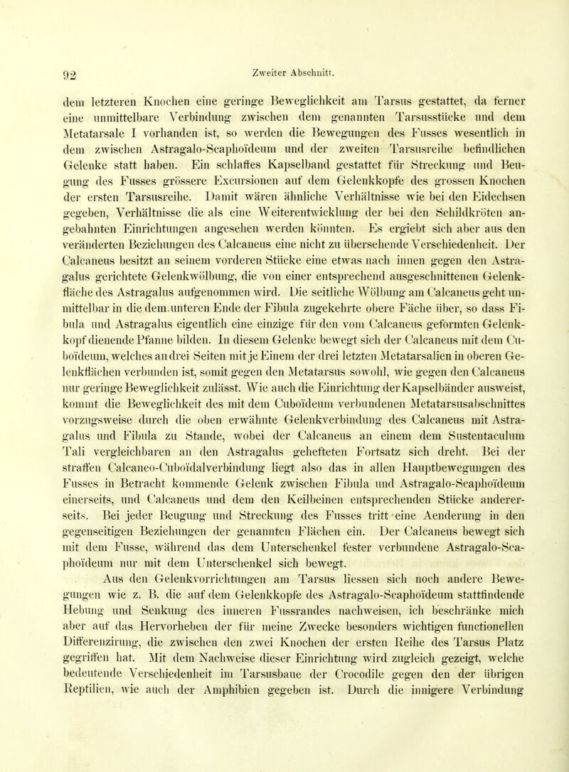 I C)2 Zweiter Abschnitt. dem letzteren Knochen eine geringe Beweglichkeit am Tarsus gestattet, da ferner eine unmittelbare Verbindung zwischen dem genannten Tarsusstücke und dem Metatarsale I vorhanden ist, so werden die Bewegungen des Fusses wesentlich in dem zwischen Astragalo-Scaphoi'deum und der zweiten Tarsusreihe befindlichen Gelenke statt haben. Ein schlaffes Kapselband gestattet für Streckung und Beu- gung des Fusses grössere Exemtionen auf dem Gelenkkopfe des grossen Knochen der ersten Tarsusreihe. Damit wären ähnliche Verhältnisse wie bei den Eidechsen gegeben, Verhältnisse die als eine Weiterentwicklung der bei den Schildkröten an- gebahnten Einrichtungen angesehen werden könnten. Es ergiebt sich aber aus den veränderten Beziehungen des Calcaneus eine nicht zu übersehende Verschiedenheit. Der Calcaneus besitzt an seinem vorderen Stücke eine etwas nach innen gegen den Astra- galus gerichtete Gelenkwölbung, die von einer entsprechend ausgeschnittenen Gelenk- fläche des Astragalus aufgenommen wird. Die seitliche Wölbung am Calcaneus geht un- mittelbar in die dem. unteren Ende der Fibula zugekehrte obere Fäche über, so dass Fi- bula und Astragalus eigentlich eine einzige für den vom Calcaneus geformten Gelenk- kopf dienende Pfanne bilden. In diesem Gelenke bewegt sich der Calcaneus mit dem Cu- boideum, welches an drei Seiten mit je Einem der drei letzten Metatarsalien in oberen Ge- lenkflächen verbunden ist, somit gegen den Metatarsus sowohl, wie gegen den Calcaneus nur geringe Beweglichkeit zulässt. Wie auch die Einrichtung der Kapselbänder ausweist, kommt die Beweglichkeit des mit dem Cuboideum verbundenen Metatarsusabschnittes vorzugsweise durch die oben erwähnte Gelenkverbindung des Calcaneus mit Astra- galus und Fibula zu Stande, wobei der Calcaneus an einem dem Sustentaculum Tali vergleichbaren an den Astragalus gehefteten Fortsatz sich dreht. Bei der straffen Calcaneo-Cuboidalverbindung liegt also das in allen Hauptbewegungen des Fusses in Betracht kommende Gelenk zwischen Fibula und Astragalo-Scaphoi'deum einerseits, und Calcaneus und dem den Keilbeinen entsprechenden Stücke anderer- seits. Bei jeder Beugung und Streckung des Fusses tritt-eine Aenderung in den gegenseitigen Beziehungen der genannten Flächen ein. Der Calcaneus bewegt sich mit dem Fusse, während das dem Unterschenkel fester verbundene Astragalo-Sca- phoi'deum nur mit dem Unterschenkel sich bewegt. Aus den Gelenkvorrichtungen am Tarsus Hessen sich noch andere Bewe- gungen wie z. B. die auf dem Gelenkkopfe des Astragalo-Scaphoi'deum stattfindende Hebung und Senkung des inneren Fussrandes nachweisen, ich beschränke mich aber auf das Hervorheben der für meine Zwecke besonders wichtigen fünctionellen Difterenzirung, die zwischen den zwei Knochen der ersten Reihe des Tarsus Platz gegriffen hat. Mit dem Nachweise dieser Einrichtung wird zugleich gezeigt, welche bedeutende Verschiedenheit im Tarsusbaue der Crocodile gegen den der übrigen Reptilien, wie auch der Amphibien gegeben ist. Durch die innigere Verbindung