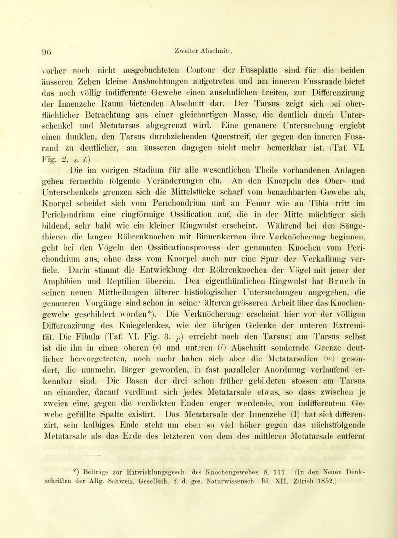 vorher noch nicht ausgebuchteten Contour der Fussplatte sind für die beiden äusseren Zehen kleine Ausbuchtungen aufgetreten und am inneren Fussrande bietet das noch völlig indifferente Gewebe einen ansehnlichen breiten, zur Differenzirung der Innenzehe Raum bietenden Abschnitt dar. Der Tarsus zeigt sich bei ober- flächlicher Betrachtung aus einer gleichartigen Masse, die deutlich durch Unter- schenkel und Metatarsus abgegrenzt wird. Eine genauere Untersuchung ergiebt einen dunklen, den Tarsus durchziehenden Querstreif, der gegen den inneren Fuss- rand zu deutlicher, am Musseren dagegen nicht mehr bemerkbar ist. (Taf. VI. Fig. 2. s. i) Die im vorigen Stadium für alle wesentlichen Theile vorhandenen Anlagen gehen fernerhin folgende Veränderungen ein. An den Knorpeln des Ober- und Unterschenkels grenzen sich die Mittelstücke scharf vom benachbarten Gewebe ab, Knorpel scheidet sich vom Perichondrium und an Femur wie an Tibia tritt im Perichondrium eine ringförmige Ossification auf, die in der Mitte mächtiger sich bildend, sehr bald wie ein kleiner Ringwulst erscheint. Während bei den Säuge- thieren die langen Röhrenknochen mit Binnenkernen ihre Verknöcherung beginnen, geht bei den Vögeln der Ossificationsprocess der genannten Knochen vom Peri- chondrium aus, ohne dass vom Knorpel auch nur eine Spur der Verkalkung ver- fiele. Darin stimmt die Entwicklung der Röhrenknochen der Vögel mit jener der Amphibien und Reptilien überein. Den eigentümlichen Ringwulst hat Bruch in seinen neuen Mittheilungen älterer histologischer Untersuchungen angegeben, die genaueren Vorgänge sind schon in seiner älteren grösseren Arbeit über das Knochen- gewebe geschildert worden*). Die Verknöcherung erscheint hier vor der völligen Differenzirung des Kniegelenkes, wie der übrigen Gelenke der unteren Extremi- tät. Die Fibula (Taf. VI. Fig. 3. p) erreicht noch den Tarsus; am Tarsus selbst ist die ihn in einen oberen (*) und unteren (0 Abschnitt sondernde Grenze deut- licher hervorgetreten, noch mehr haben sich aber die Metatarsalien (M) geson- dert, die nunmehr, länger geworden, in fast paralleler Anordnung verlaufend er- kennbar sind. Die Basen der drei schon früher gebildeten stossen am Tarsus an einander, darauf verdünnt sich jedes Metatarsale etwas, so dass zwischen je zweien eine, gegen die verdickten Enden enger werdende, von indifferentem Ge- webe gefüllte Spalte existirt. Das Metatarsale der Innenzehe (I) hat sich differen- zirt, sein kolbiges Ende steht um eben so viel höher gegen das nächstfolgende Metatarsale als das Ende des letzteren von dem des mittleren Metatarsale entfernt *) Beiträge zur Entwieklungsgesch. des Knochengewebes. S. 111. (In den Neuen Denk- schriften der Allg. Schweiz. Gesellsch. f. d. ges. Naturwissensch. Bd. XII. Zürich 1852.)