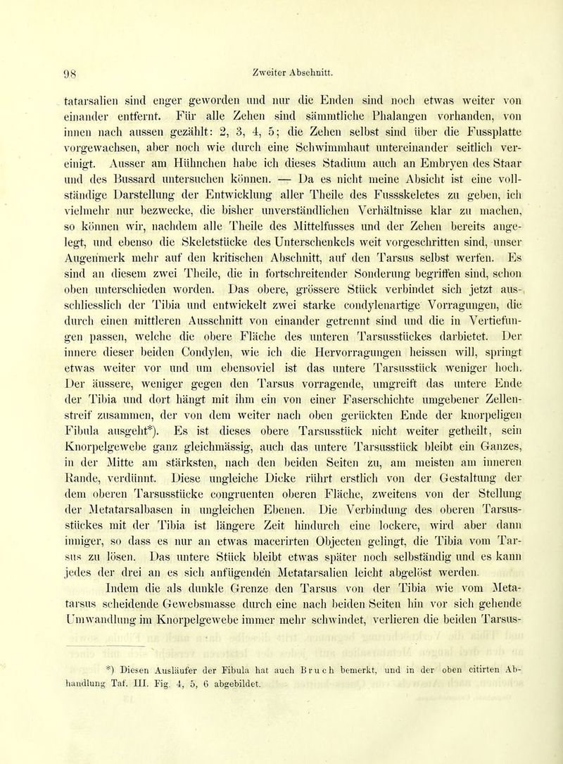 tatarsalien sind enger geworden und nur die Enden sind noch etwas weiter von einander entfernt. Für alle Zehen sind sHmmtliche Phalangen vorhanden, von innen nach aussen gezählt: 2, 3, 4, 5; die Zehen selbst sind über die Fussplatte vorgewachsen, aber noch wie durch eine Schwimmhaut untereinander seitlich ver- einigt. Ausser am Hülmchen habe ich dieses Stadium auch an Embryen des Staar und des Bussard untersuchen können. — Da es nicht meine Absicht ist eine voll- ständige Darstellung der Entwicklung aller Theile des Fussskeletes zu geben, ich vielmehr nur bezwecke, die bisher unverständlichen Verhältnisse klar zu machen, so können wir, nachdem alle Theile des Mittelfusses und der Zehen bereits ange- legt, und ebenso die Skeletstücke des Unterschenkels weit vorgeschritten sind, unser Augenmerk mehr auf den kritischen Abschnitt, auf den Tarsus selbst werfen. Es sind an diesem zwei Theile, die in fortschreitender Sonderung begriffen sind, schon oben unterschieden worden. Das obere, grössere Stück verbindet sich jetzt aus-, schliesslich der Tibia und entwickelt zwei starke condylenartige Vorragungen, die durch einen mittleren Ausschnitt von einander getrennt sind und die in Vertiefun- gen passen, welche die obere Fläche des unteren Tarsusstückes darbietet. Der innere dieser beiden Condylen, wie ich die Hervorragungen heissen will, springt etwas weiter vor und um ebensoviel ist das untere Tarsusstück weniger hoch. Der äussere, weniger gegen den Tarsus vorragende, umgreift das untere Ende der Tibia und dort hängt mit ihm ein von einer Faserschichte umgebener Zellen- streif zusammen, der von dem weiter nach oben gerückten Ende der knorpeligen Fibula ausgeht*). Es ist dieses obere Tarsusstück nicht weiter getheilt, sein Knorpelgewebe ganz gleichmässig, auch das untere Tarsusstück bleibt ein Ganzes, in der Mitte am stärksten, nach den beiden Seiten zu, am meisten am inneren Rande, verdünnt. Diese ungleiche Dicke rührt erstlich von der Gestaltung der dem oberen Tarsusstücke congruenten oberen Fläche, zweitens von der Stellung der Metatarsalbasen in ungleichen Ebenen. Die Verbindung des oberen Tarsus- stückes mit der Tibia ist längere Zeit hindurch eine lockere, wird aber dann inniger, so dass es nur an etwas macerirten Objecten gelingt, die Tibia vom Tar- sus zu lösen. Das untere Stück bleibt etwas später noch selbständig und es kann jedes der drei an es sich anfügenden Metatarsalien leicht abgelöst werden. Indem die als dunkle Grenze den Tarsus von der Tibia wie vom Meta- tarsus scheidende Gewebsniasse durch eine nach beiden Seiten hin vor sich gehende Umwandlung im Knorpelgewebe immer mehr schwindet, verlieren die beiden Tarsus- *) Diesen Ausläufer der Fibula hat auch Bruch bemerkt, und in der oben citirten Ab- handlung Taf. III. Fig. 4, 5, 6 abgebildet,