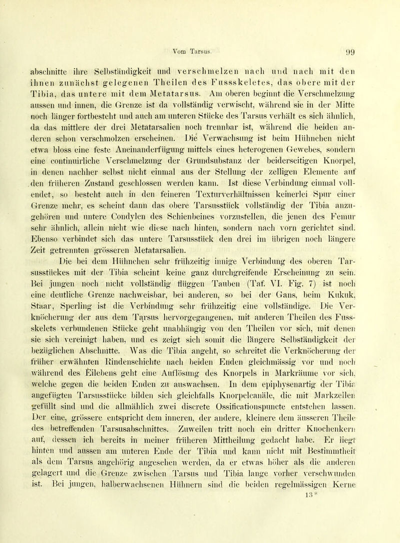 abschnitte ihre Selbständigkeit und verschmelzen nach und nach mit den ihnen zunächst gelegenen Theilen des Fussskeletes, das obere mit der Tibia, das untere mit dem Metatarsus. Am oberen beginnt die Verschmelzung aussen und innen, die Grenze ist da vollständig verwischt, während sie in der Mitte noch länger fortbesteht und auch am unteren Stücke des Tarsus verhält es sich ähnlich, da das mittlere der drei Metatarsalien noch trennbar ist, während die beiden an- deren schon verschmolzen erscheinen. Die Verwachsung ist beim Hühnchen nicht etwa bloss eine feste Aneinanderfügung mittels eines heterogenen Gewebes, sondern eine continuirliche Verschmelzung der Grundsubstanz der beiderseitigen Knorpel, in denen nachher selbst nicht einmal aus der Stellung der zelligen Elemente auf den früheren Zustand geschlossen werden kann. Ist diese Verbindung einmal voll- endet, so besteht auch in den feineren Texturverhältnissen keinerlei Spür einer Grenze mehr, es scheint dann das obere Tarsusstück vollständig der Tibia anzu- gehören und untere Condylen des Schienbeines vorzustellen, die jenen des Femur sehr ähnlich, allein nicht wie diese nach hinten, sondern nach vorn gerichtet sind. Ebenso verbindet sich das untere Tarsusstück den drei im übrigen noch längere Zeit getrennten grösseren Metatarsalien. Die bei dem Hühnchen sehr frühzeitig innige Verbindung des oberen Tar- susstückes mit der Tibia scheint keine ganz durchgreifende Erscheinung zu sein. Bei jungen noch nicht vollständig flüggen Taimen (Taf. VI. Fig. 7) ist noch eine deutliche Grenze nachweisbar, bei anderen, so bei der Gans, beim Kukuk. Staar, Sperling ist die Verbindung sehr frühzeitig eine vollständige. Die Ver- knöcherung der aus dem Tarsus hervorgegangenen, mit anderen Theilen des Fuss- skelets verbundenen Stücke geht unabhängig von den Theilen vor sich, mit denen sie sich vereinigt haben, und es zeigt sich somit die längere Selbständigkeit der bezüglichen Abschnitte. Was die Tibia angeht, so schreitet die Verknöcherung der früher erwähnten Rindenschichte nach beiden Enden gleichmässig vor und noch während des Eilebens geht eine Auflösung des Knorpels in Markräume vor sich, welche gegen die beiden Enden zu auswachsen. In dem epiphysenartig der Tibia angefügten Tarsusstücke bilden sich gleichfalls Knorpelcanäle, die mit Markzellen gefüllt sind und die allmählich zwei discrete Ossificationspuncte entstehen lassen. Der eine, grössere entspricht dem inneren, der andere, kleinere dem äusseren Theile des betreffenden Tarsusabschnittes. Zuweilen tritt noch ein dritter Knochenkern auf, dessen ich bereits in meiner früheren Mittheilung gedacht habe. Er liegt hinten und aussen am unteren Ende der Tibia und kann nicht mit Bestimmtheit als dem Tarsus angehörig angesehen werden, da er etwas höher als die anderen gelagert und die Grenze zwischen Tarsus und Tibia lange vorher verschwunden ist. Bei jungen, halberwachsenen Hühnern sind die beiden regelmässigen Kerne